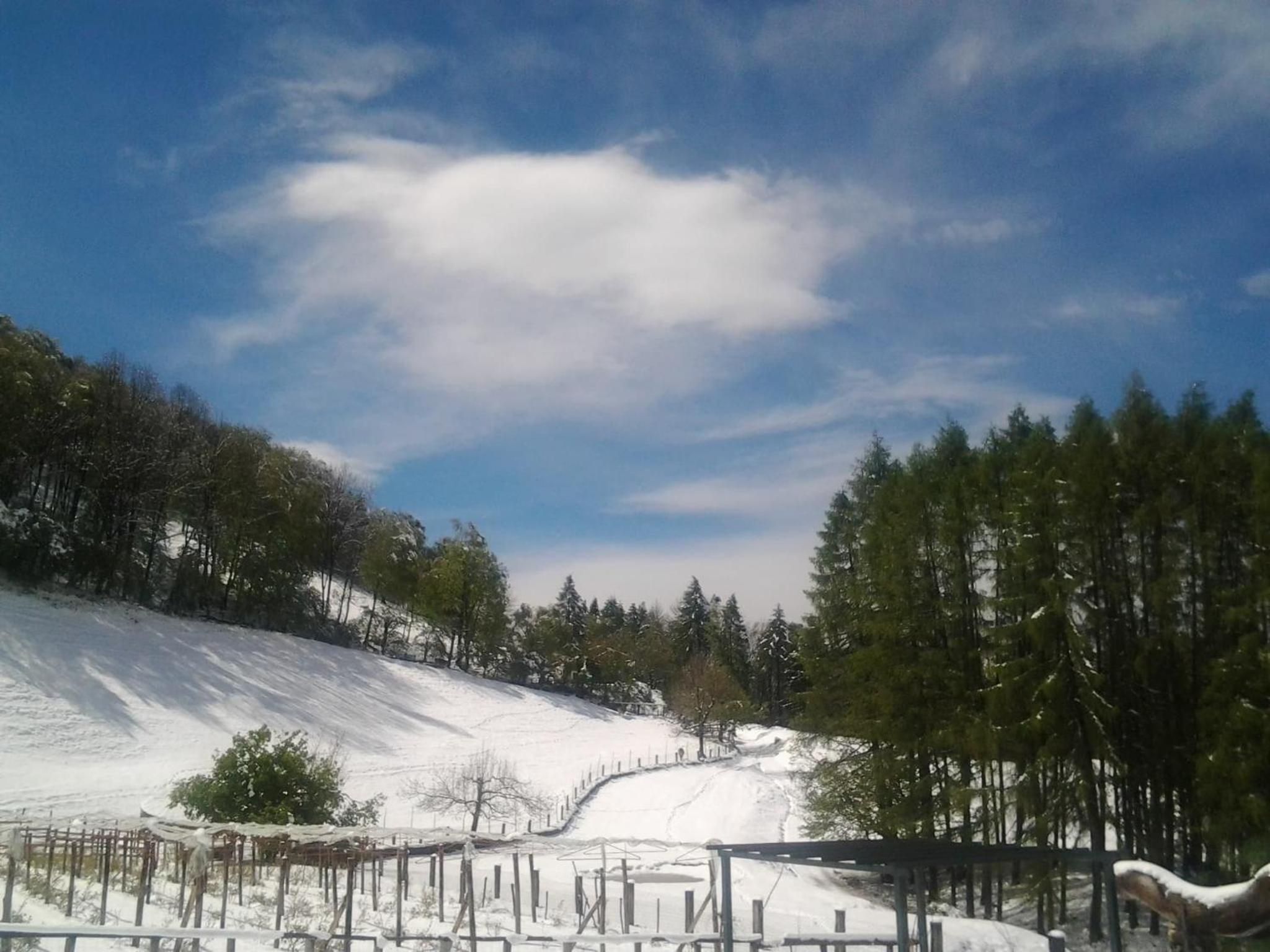 Agriturismo Le Radici