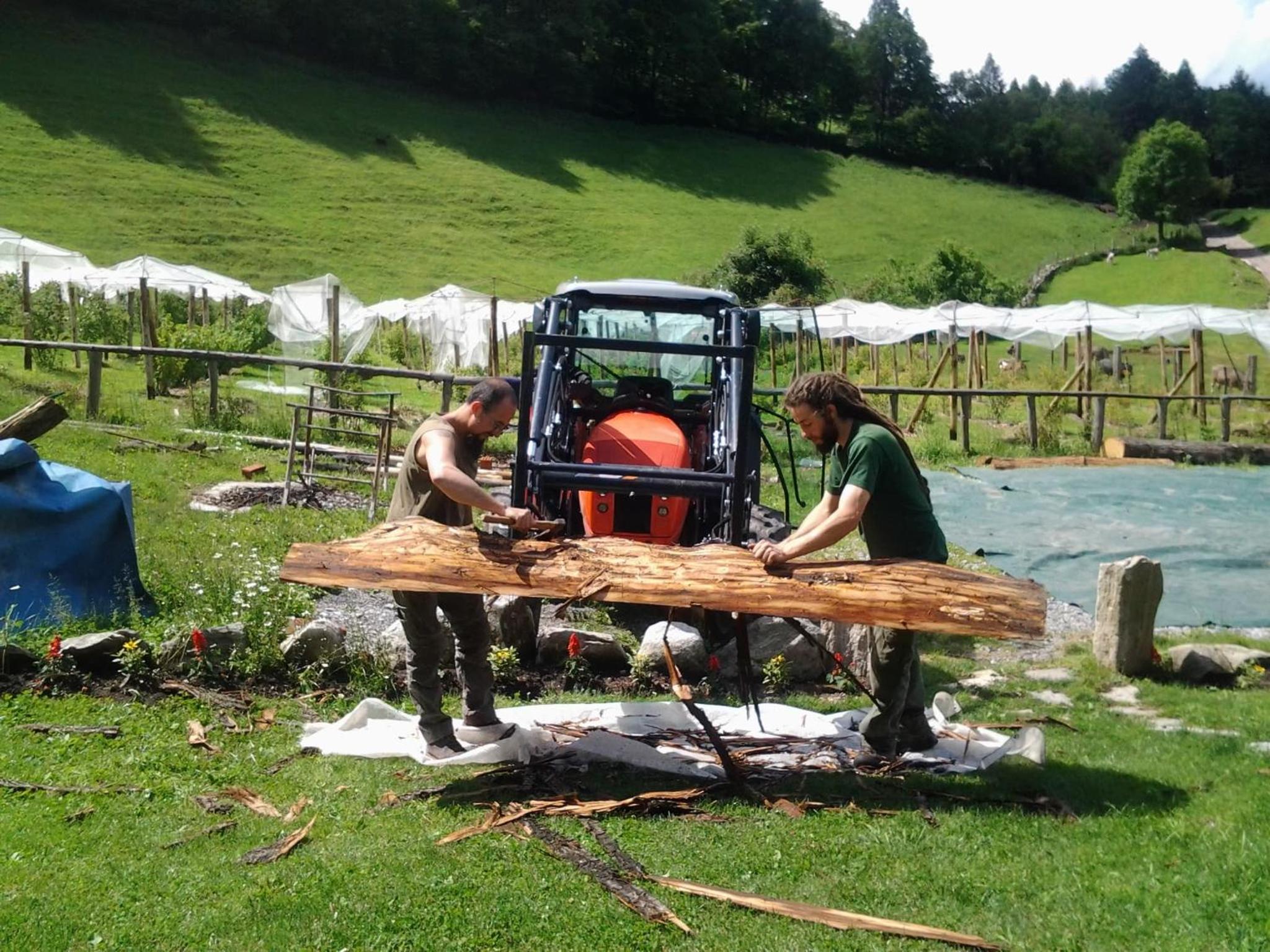 Agriturismo Le Radici