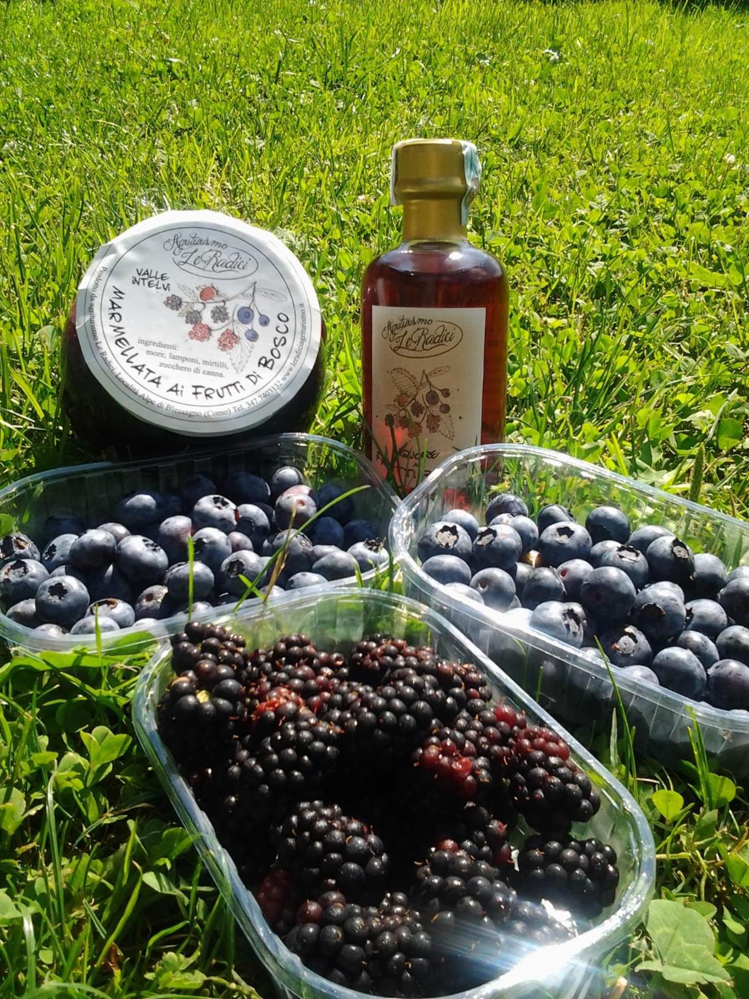 Agriturismo Le Radici