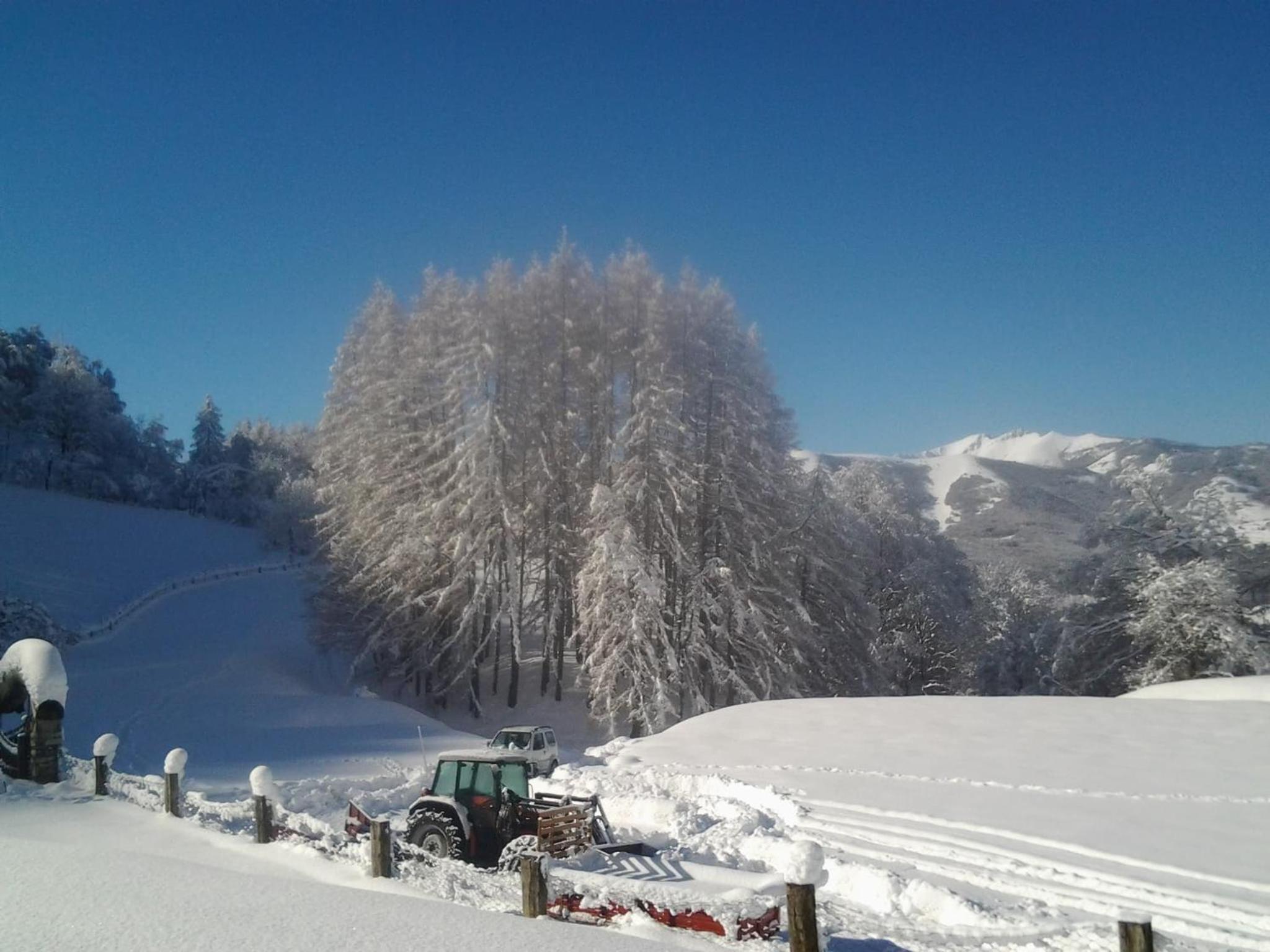 Agriturismo Le Radici