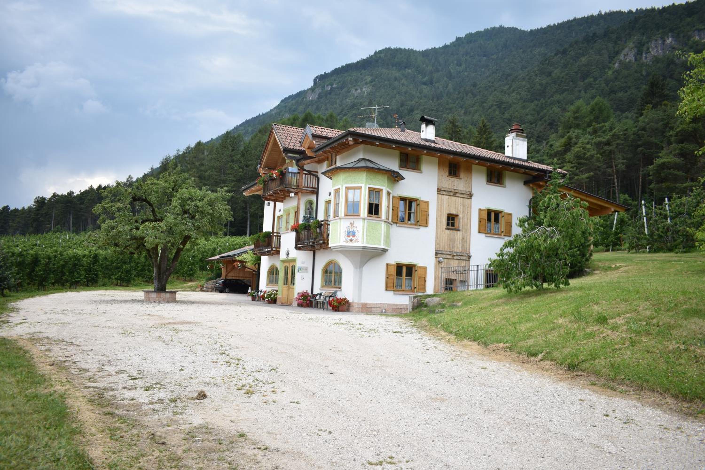 Photo 8
