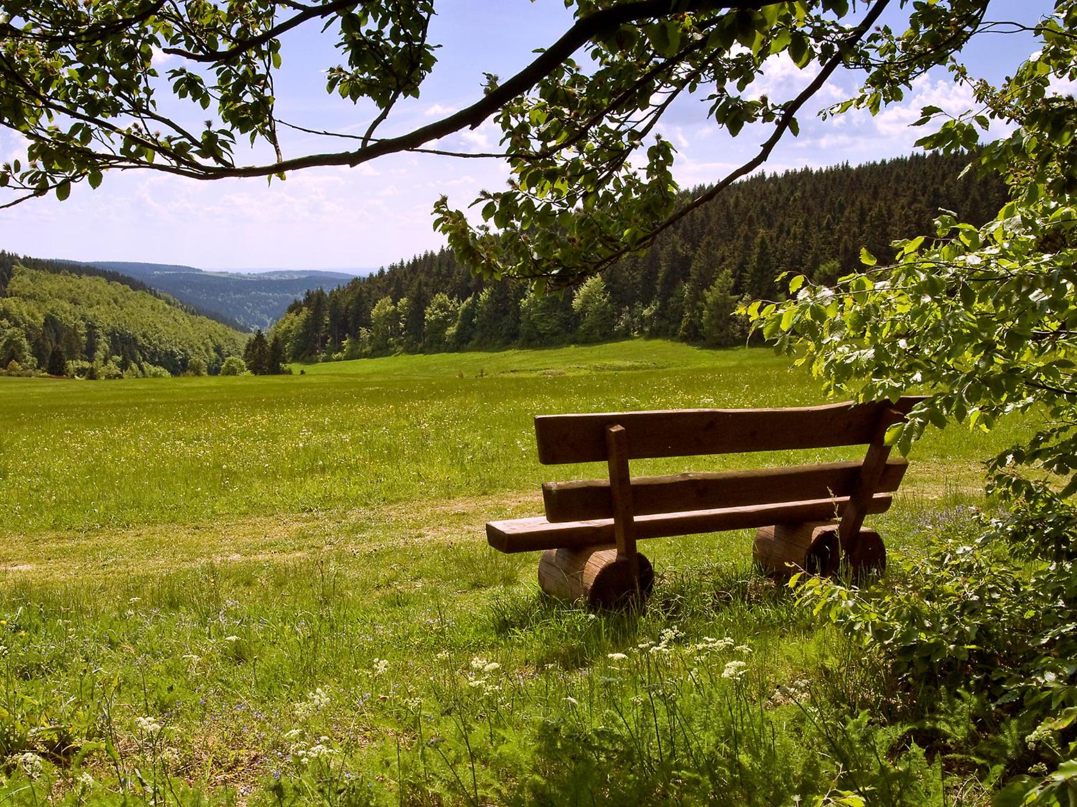 Ferienhaus Wurzelbergblick