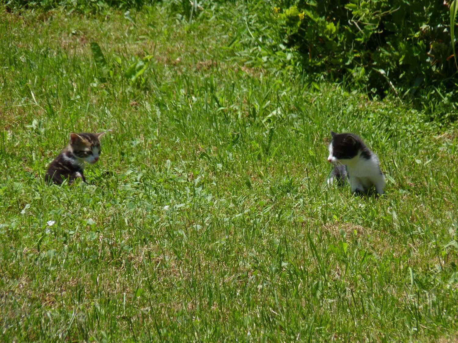 Photo 28