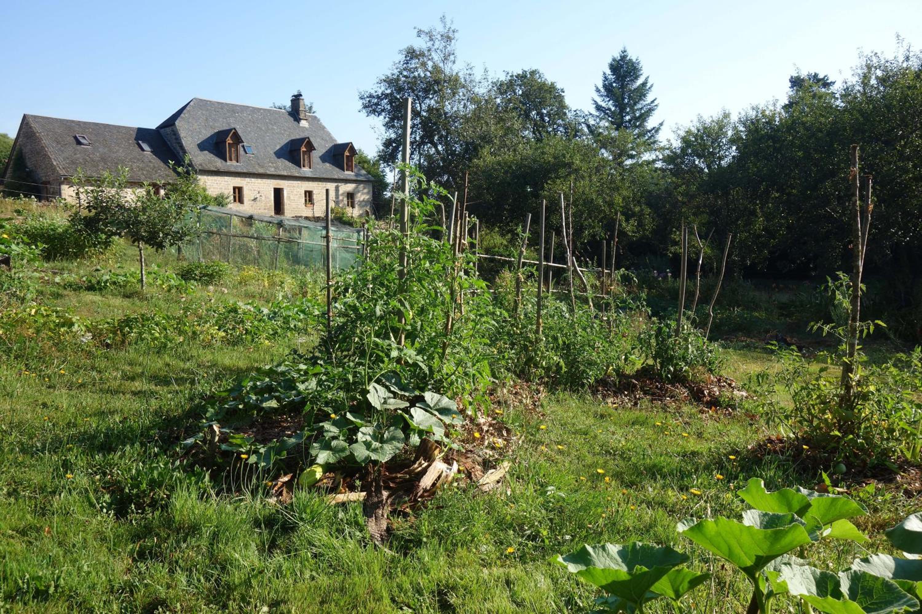 Photo 19