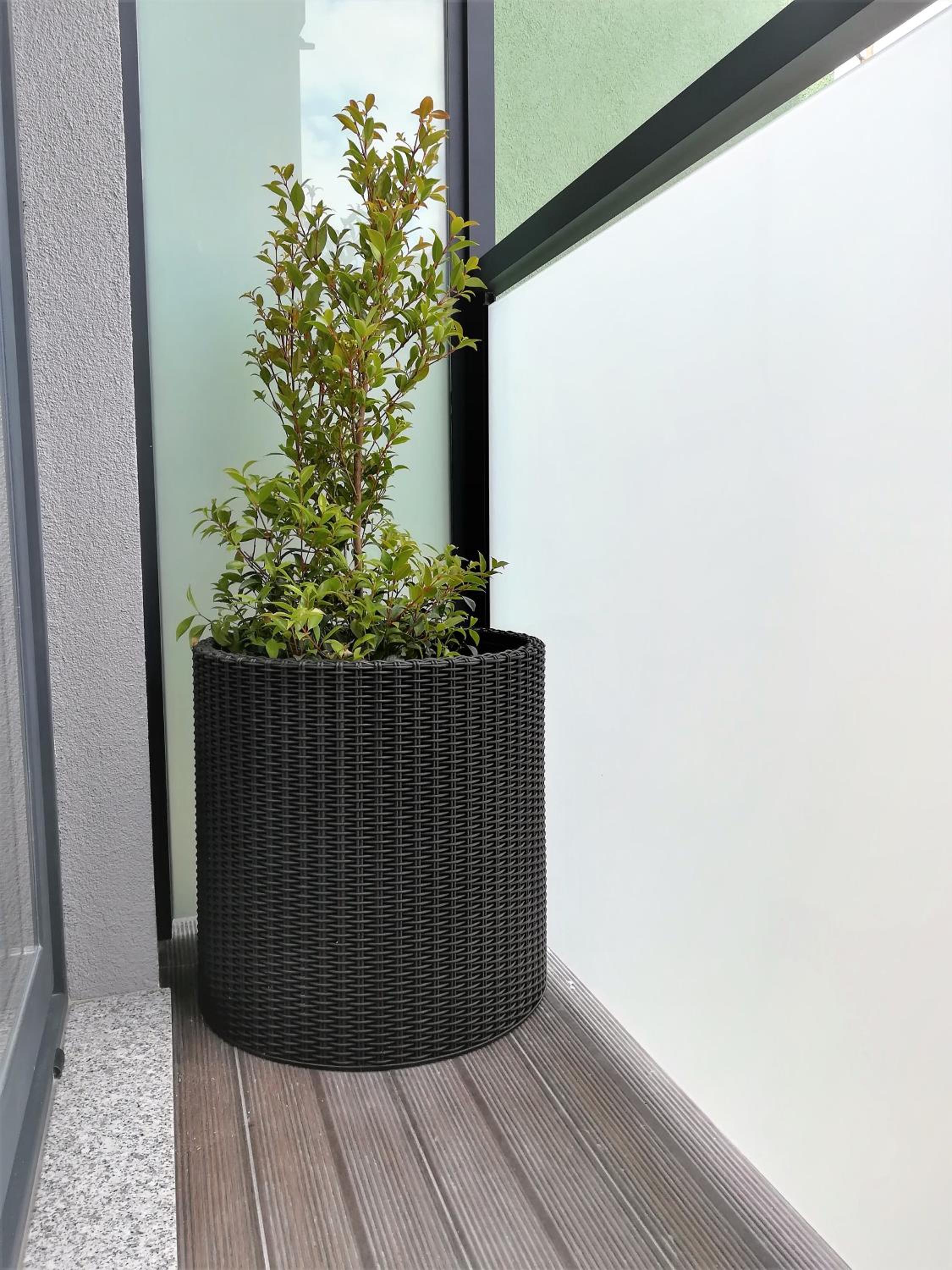APOSENTUS - Your Home at Pinheiro's Studio