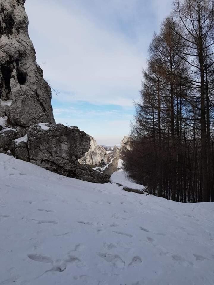 Photo 33
