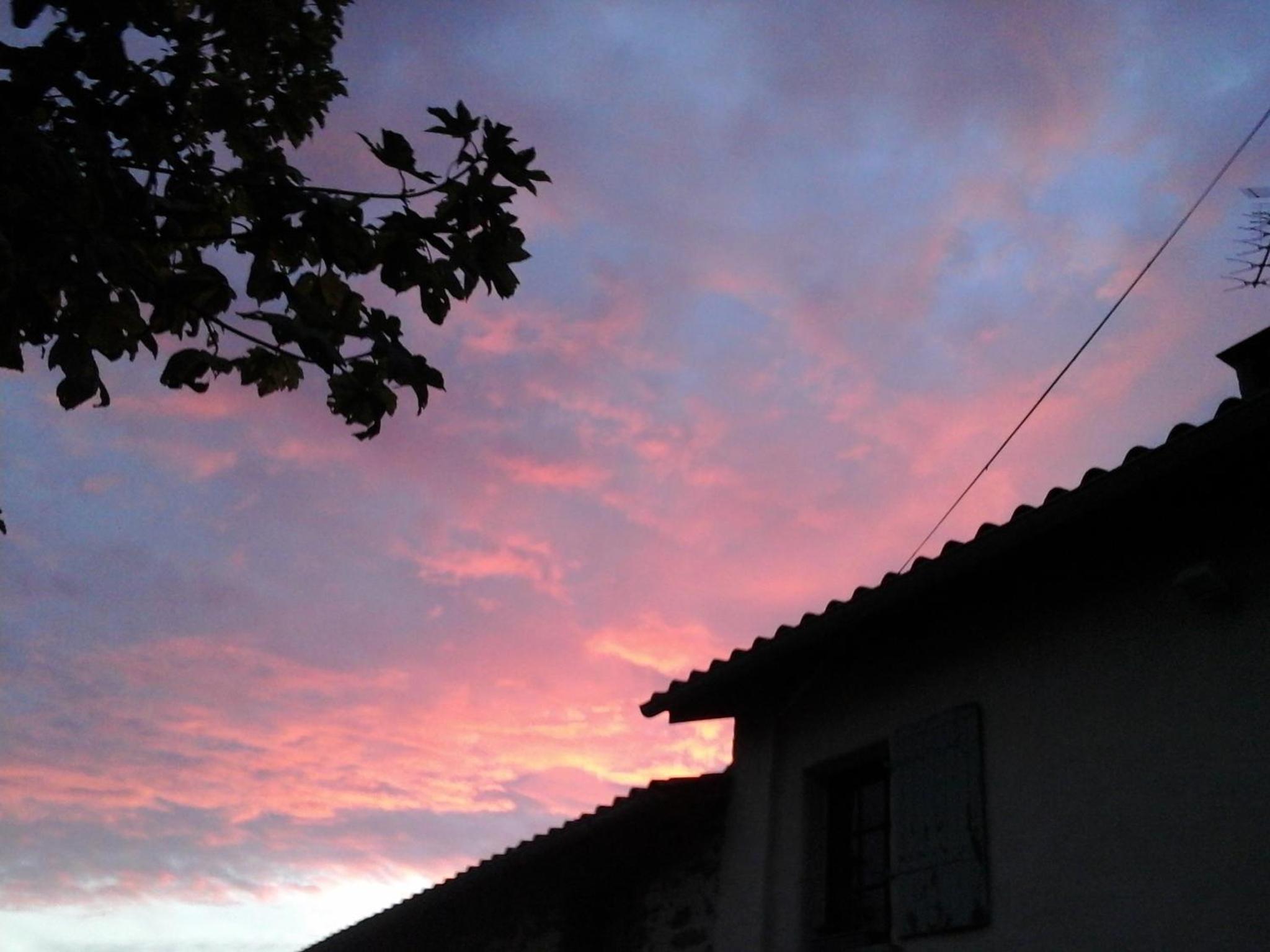 Photo 62
