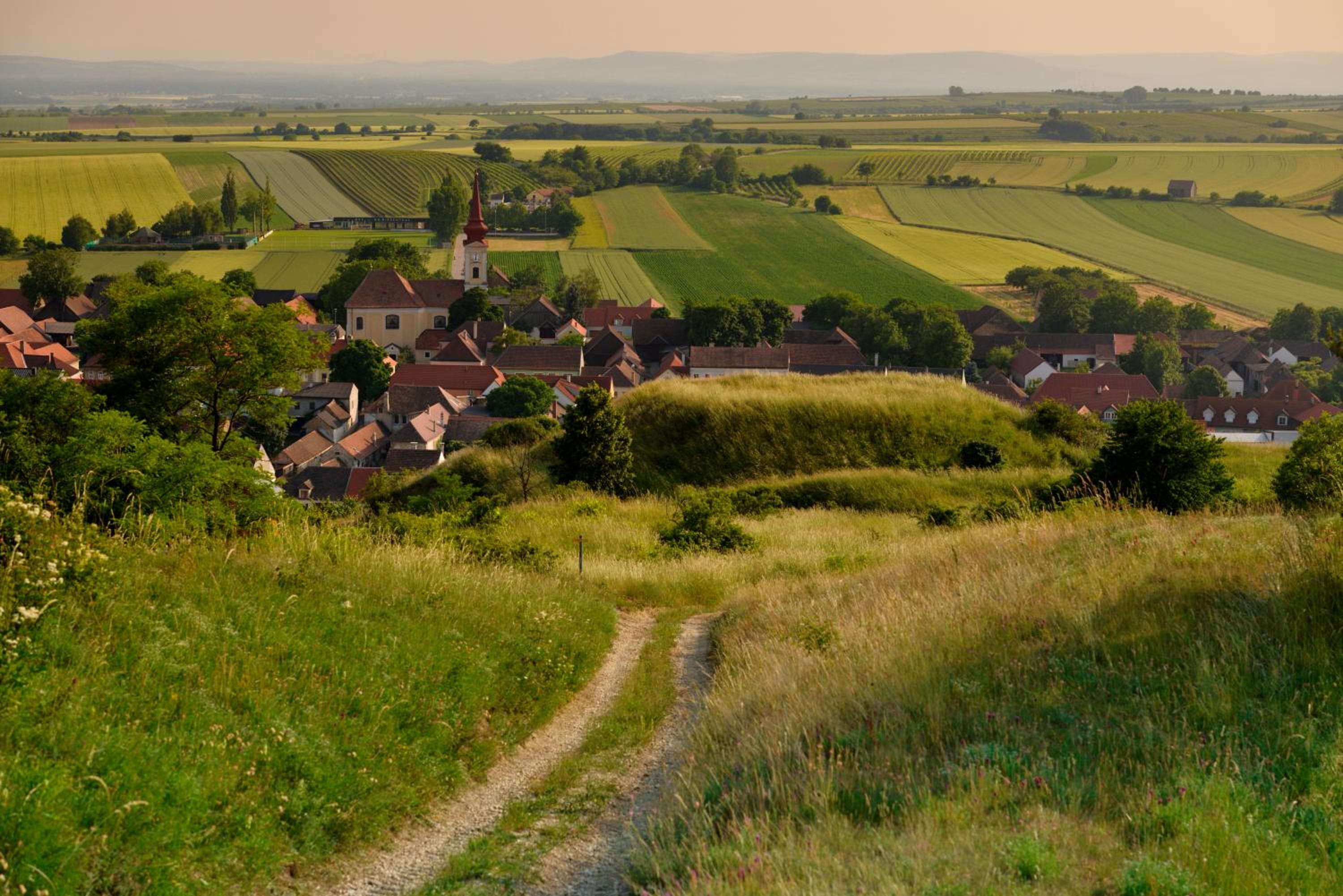 Weingut Familie Schuster