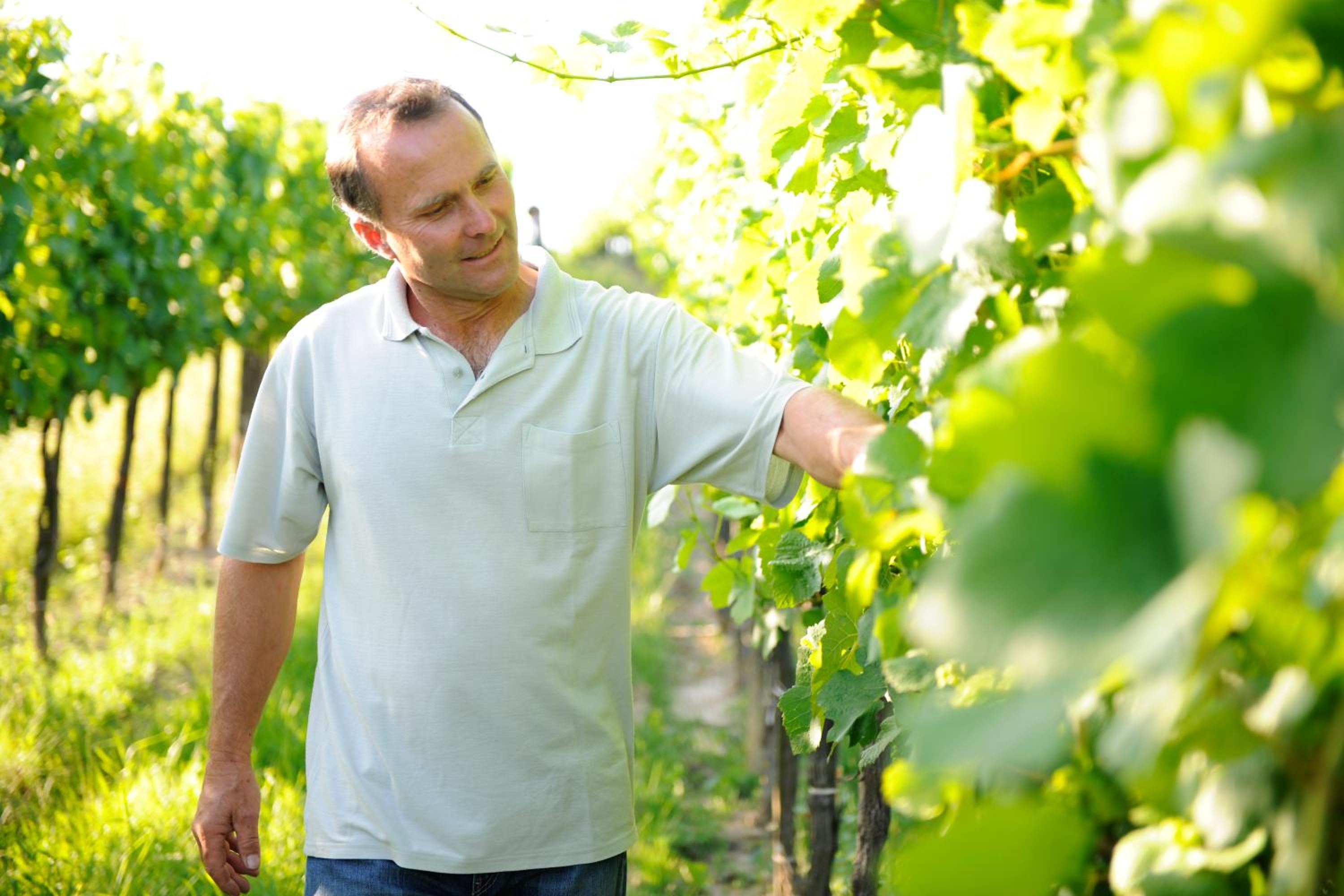 Weingut Familie Schuster