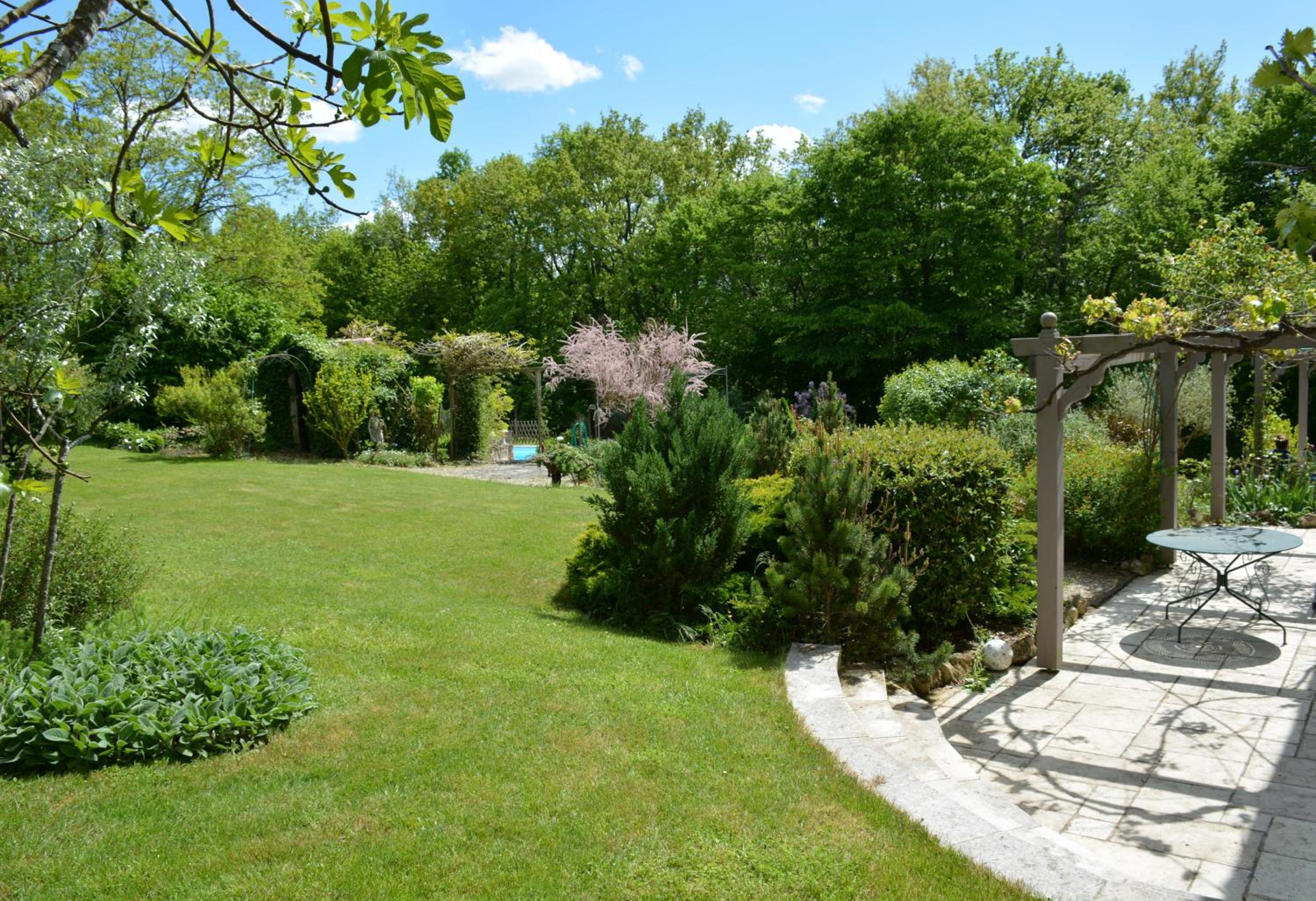 Photo 8
