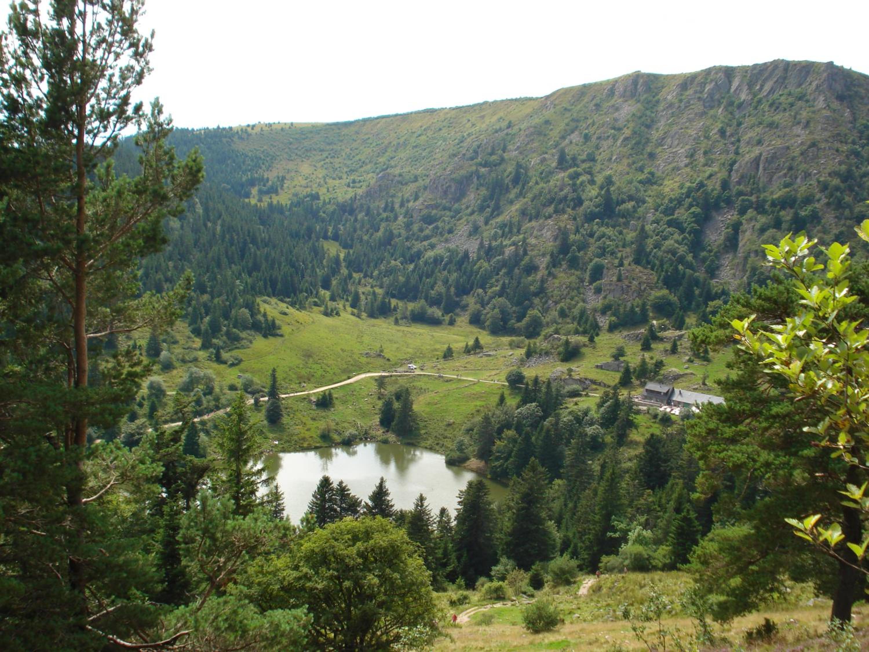 Photo 17