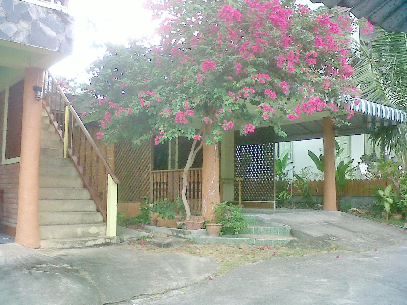 Village House Phan 4