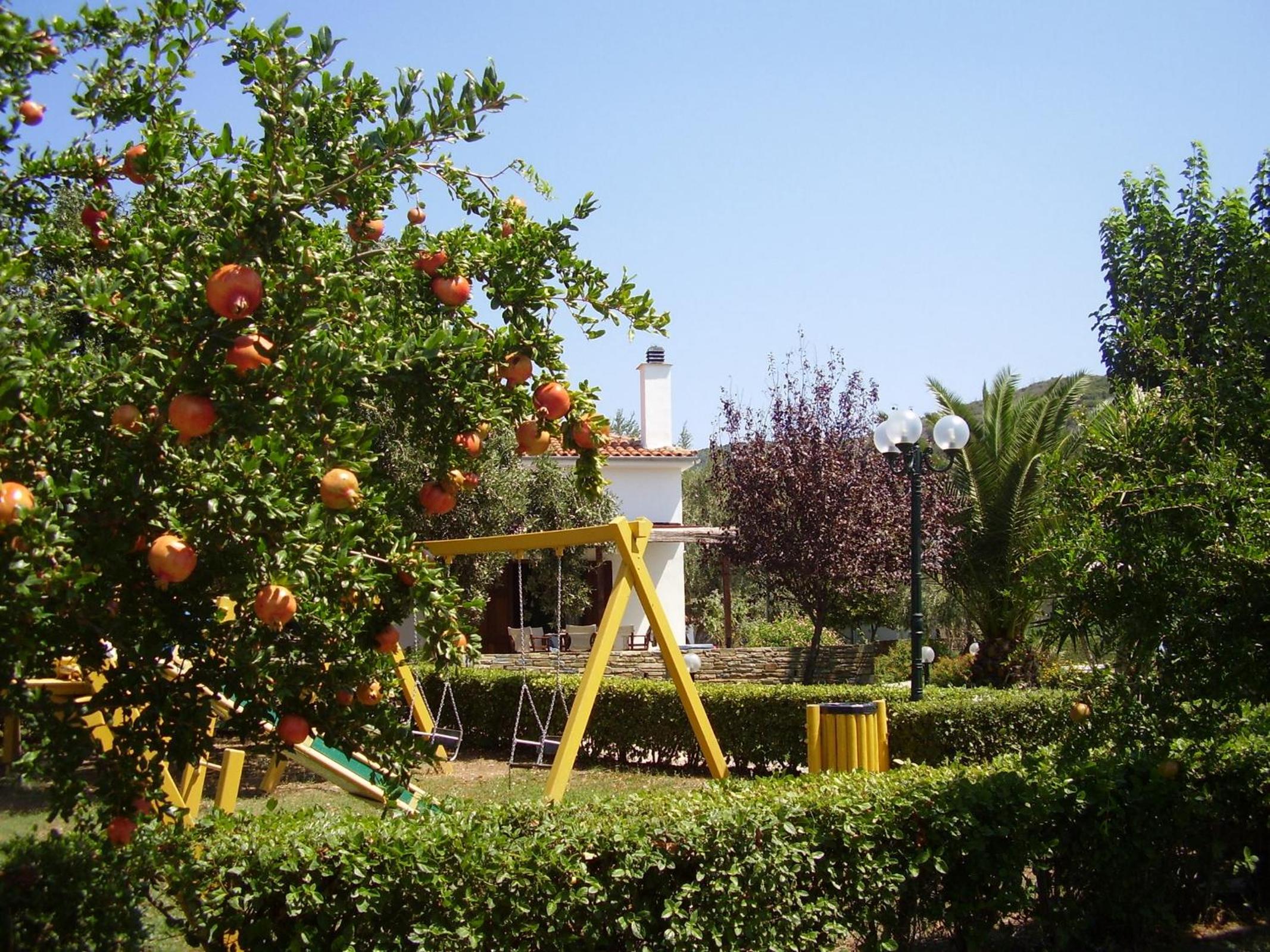 Photo 22