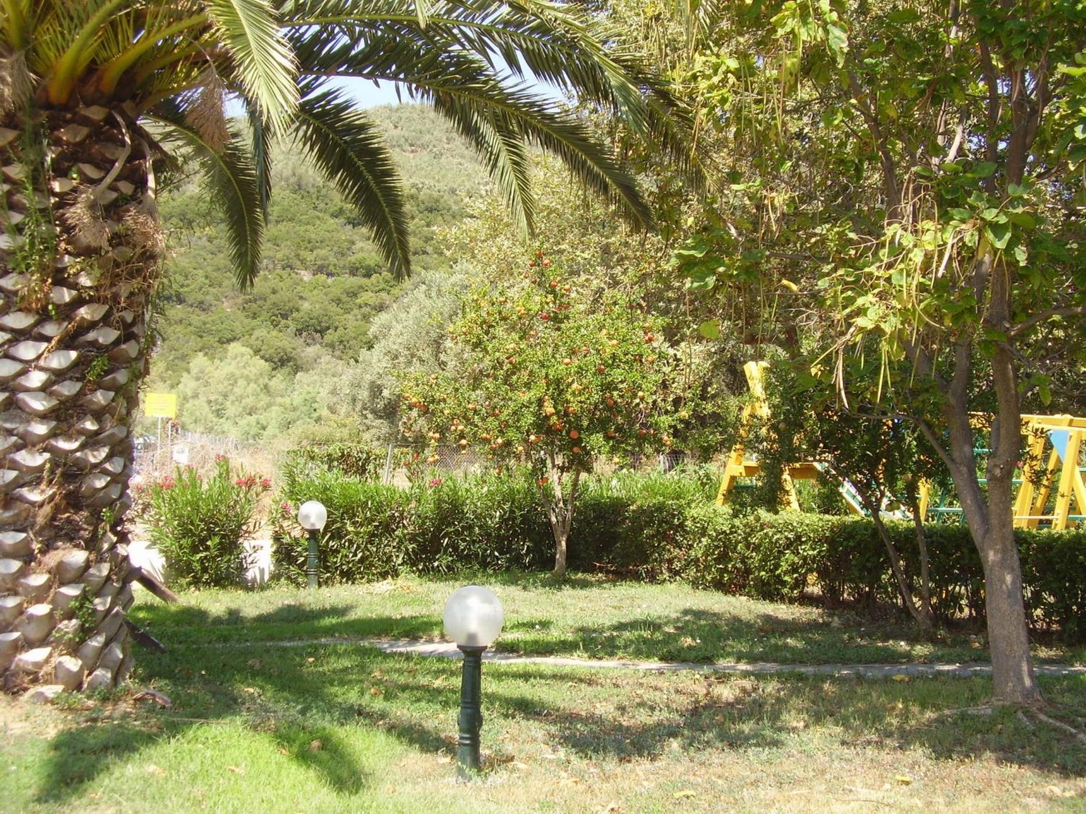 Photo 24