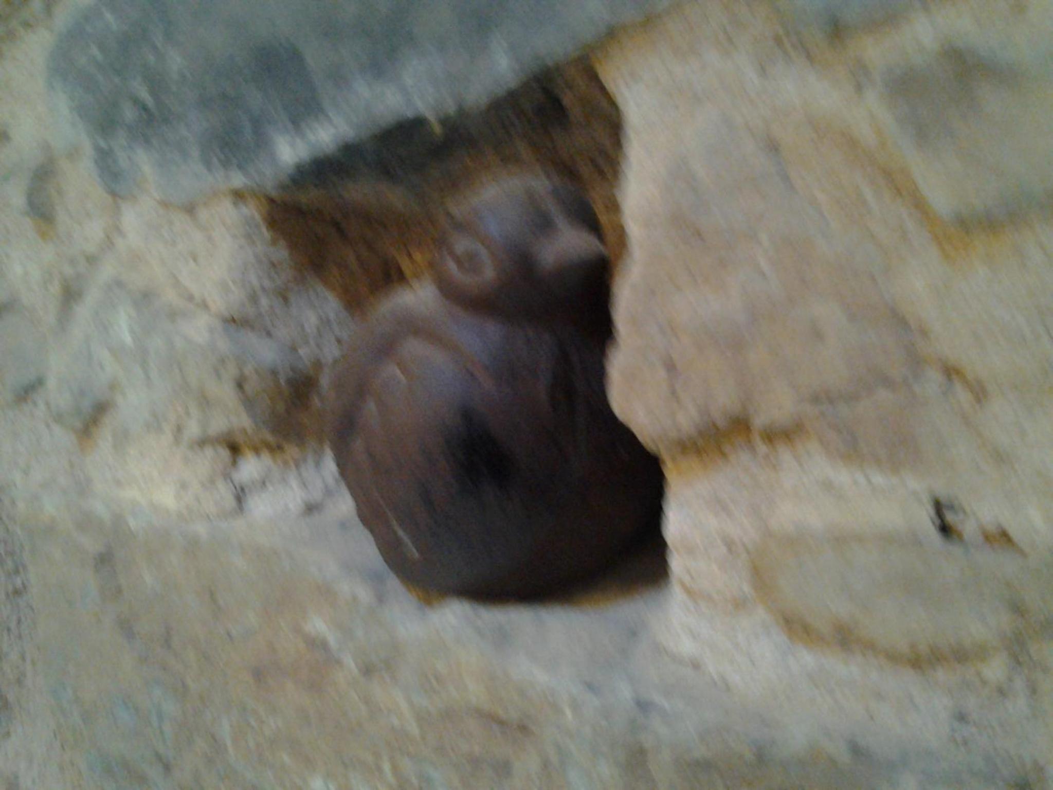 Photo 30