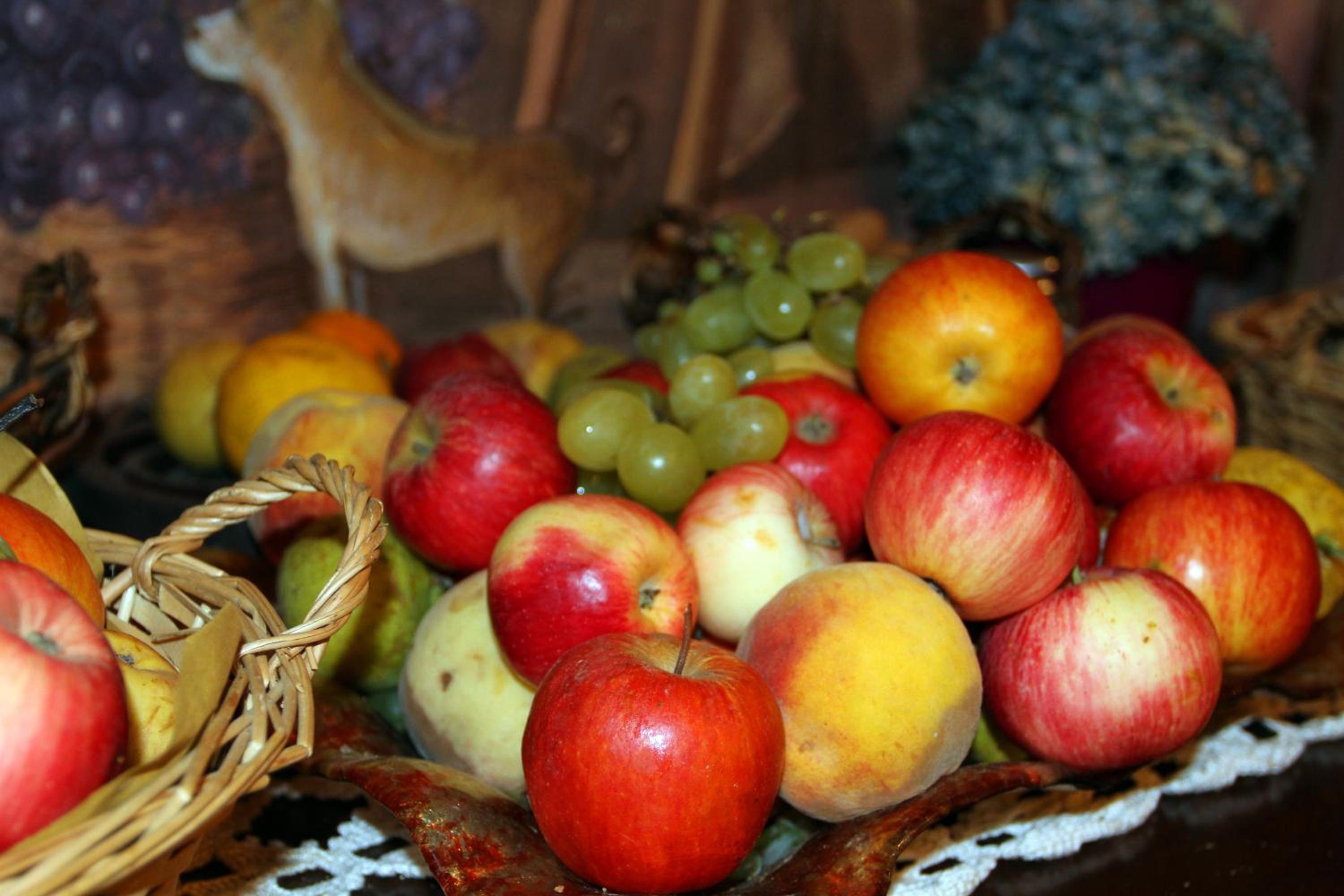 Agriturismo Nonno Tobia