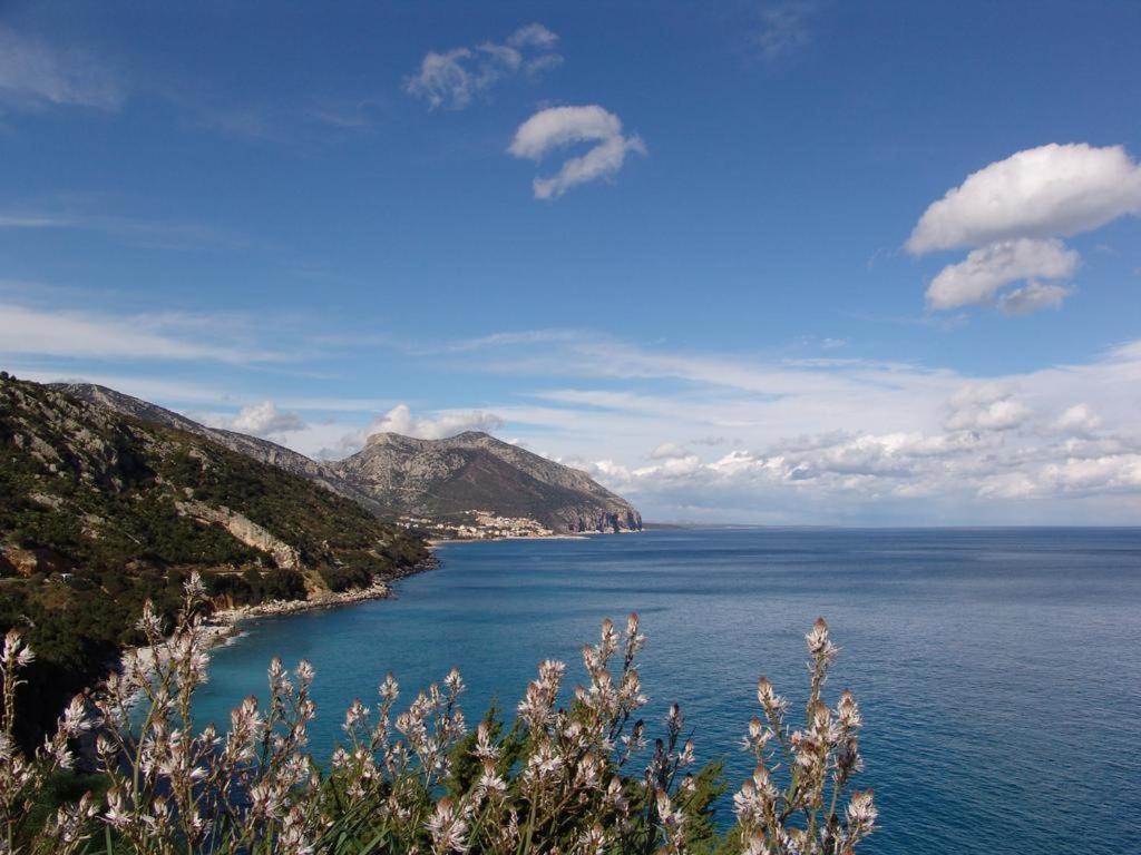 Calagonone villetta con giardino e barbecue view 4
