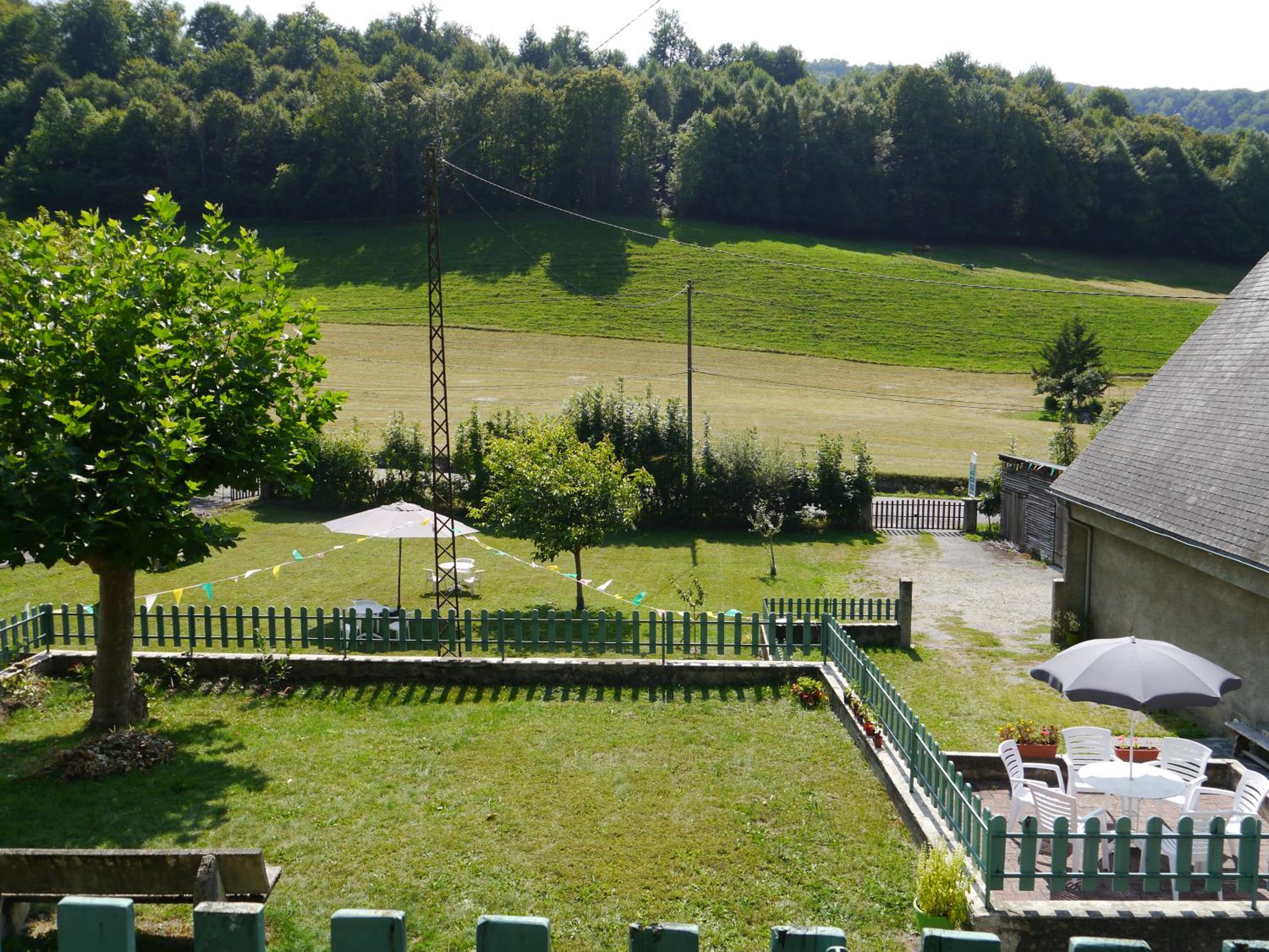 Photo 7