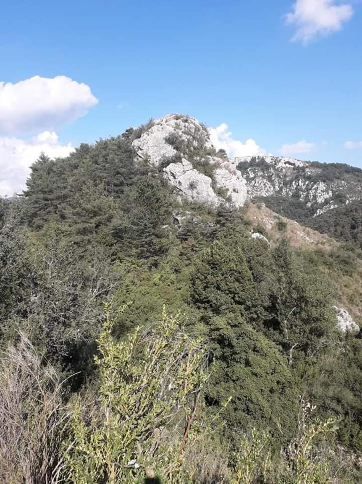 Photo 28