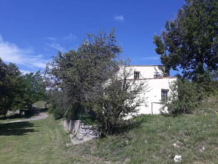 Photo 22