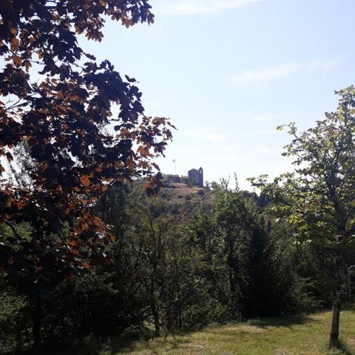 Photo 26