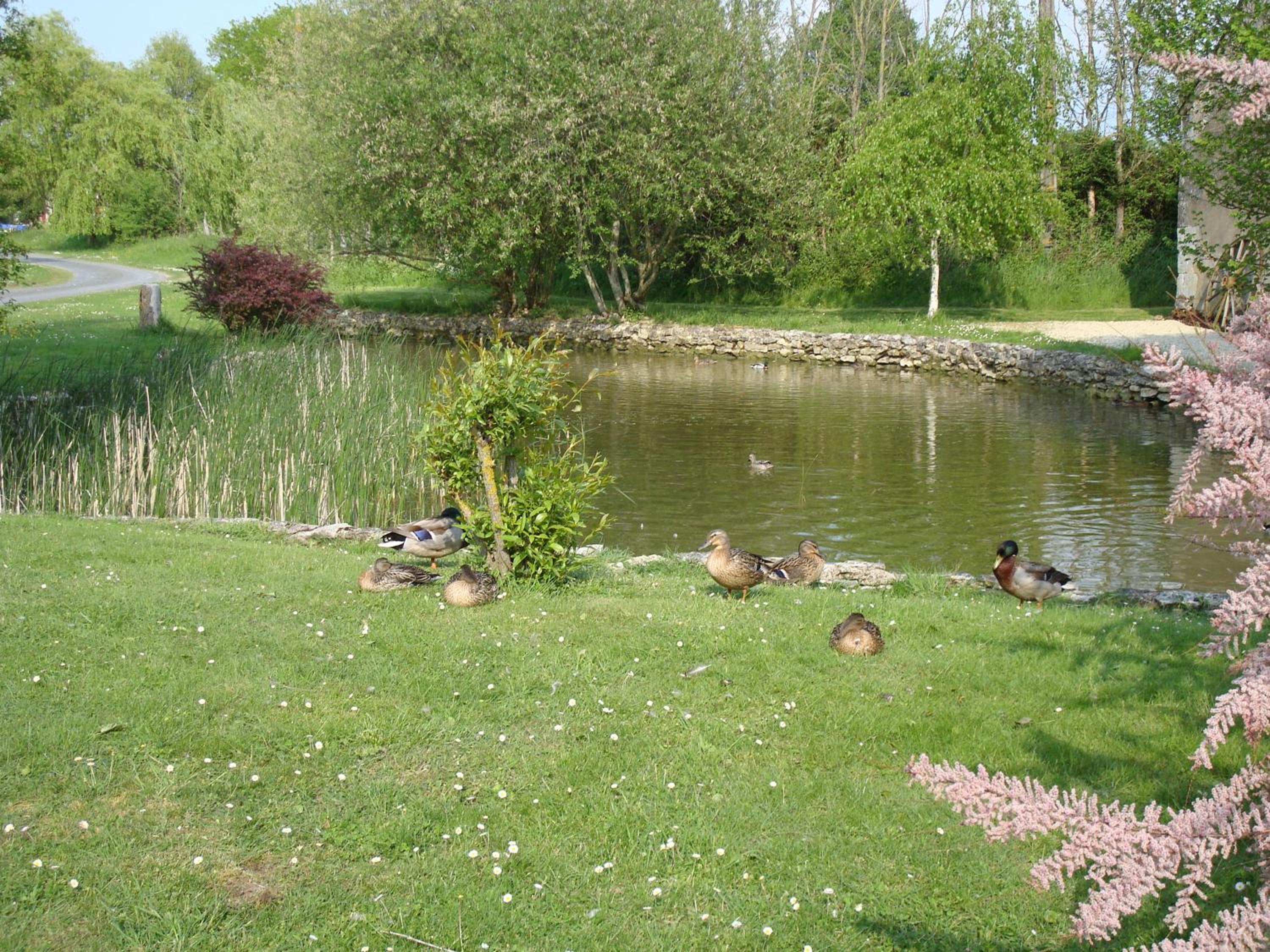 Photo 32