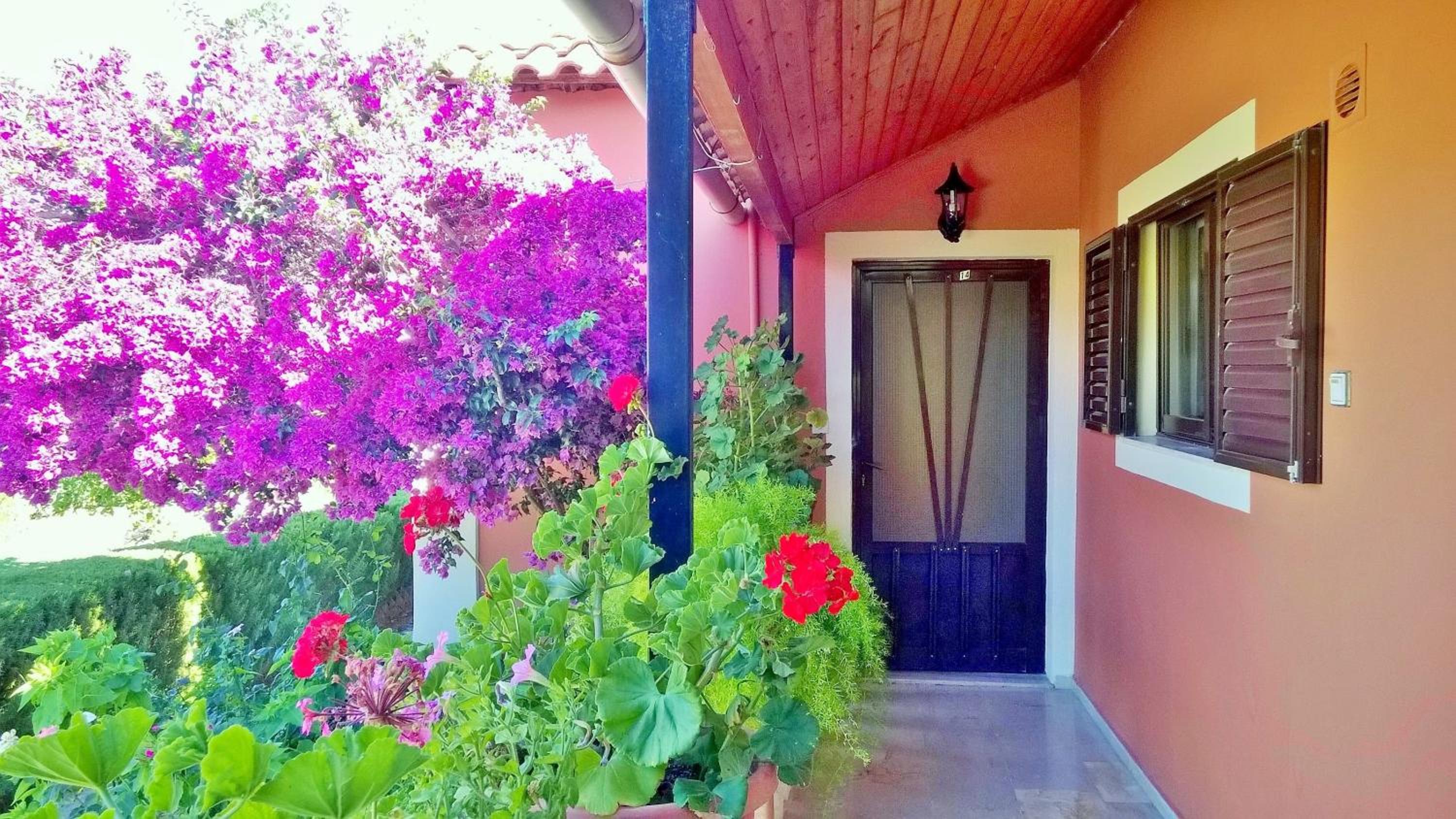 NEFELI House