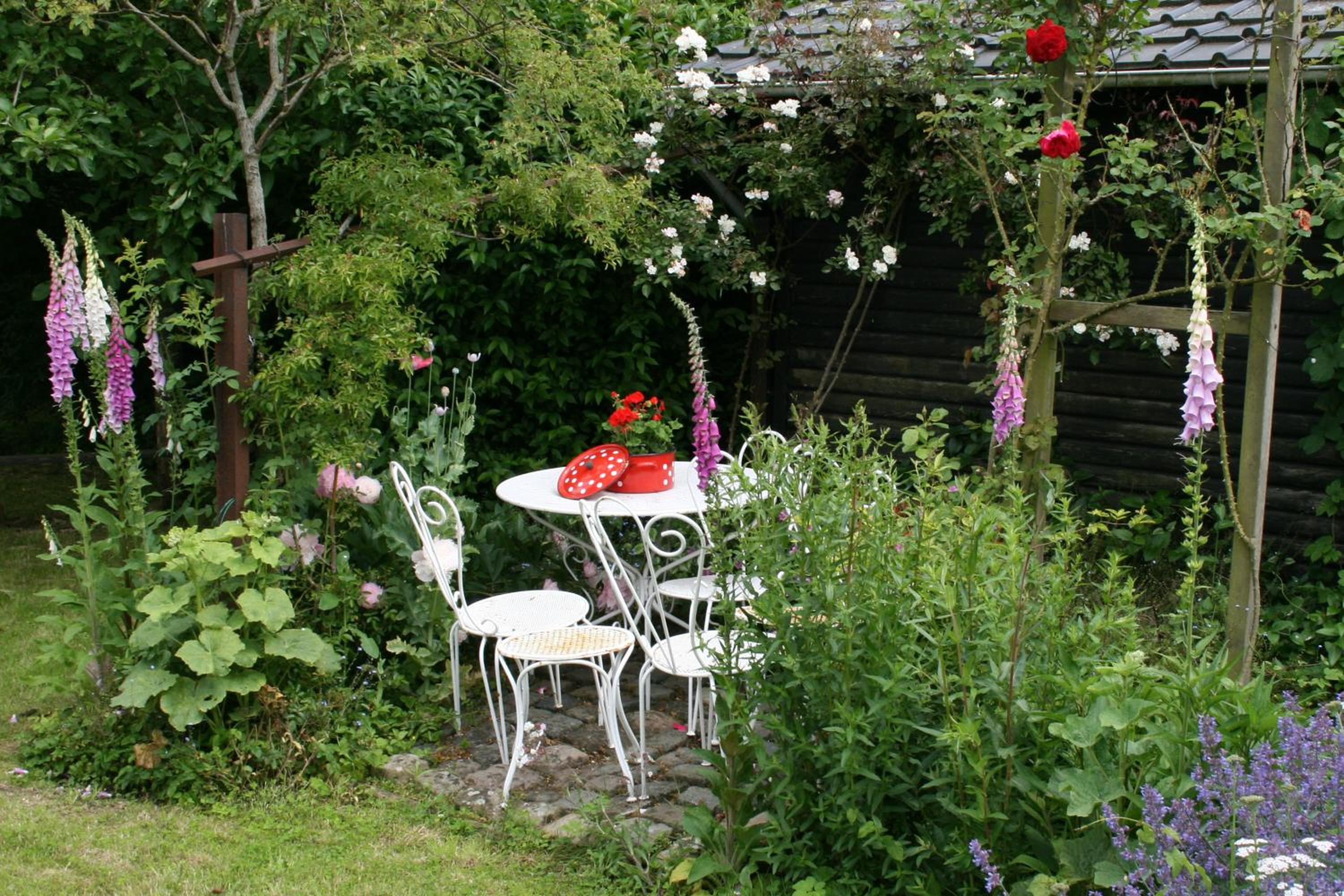 B&B Eenvoud in Overvloed