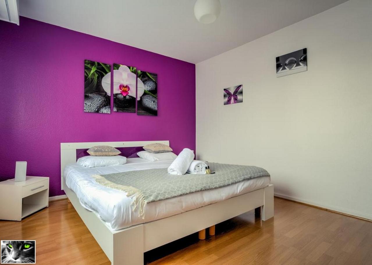 Appartement Spacieux Schiltigheim