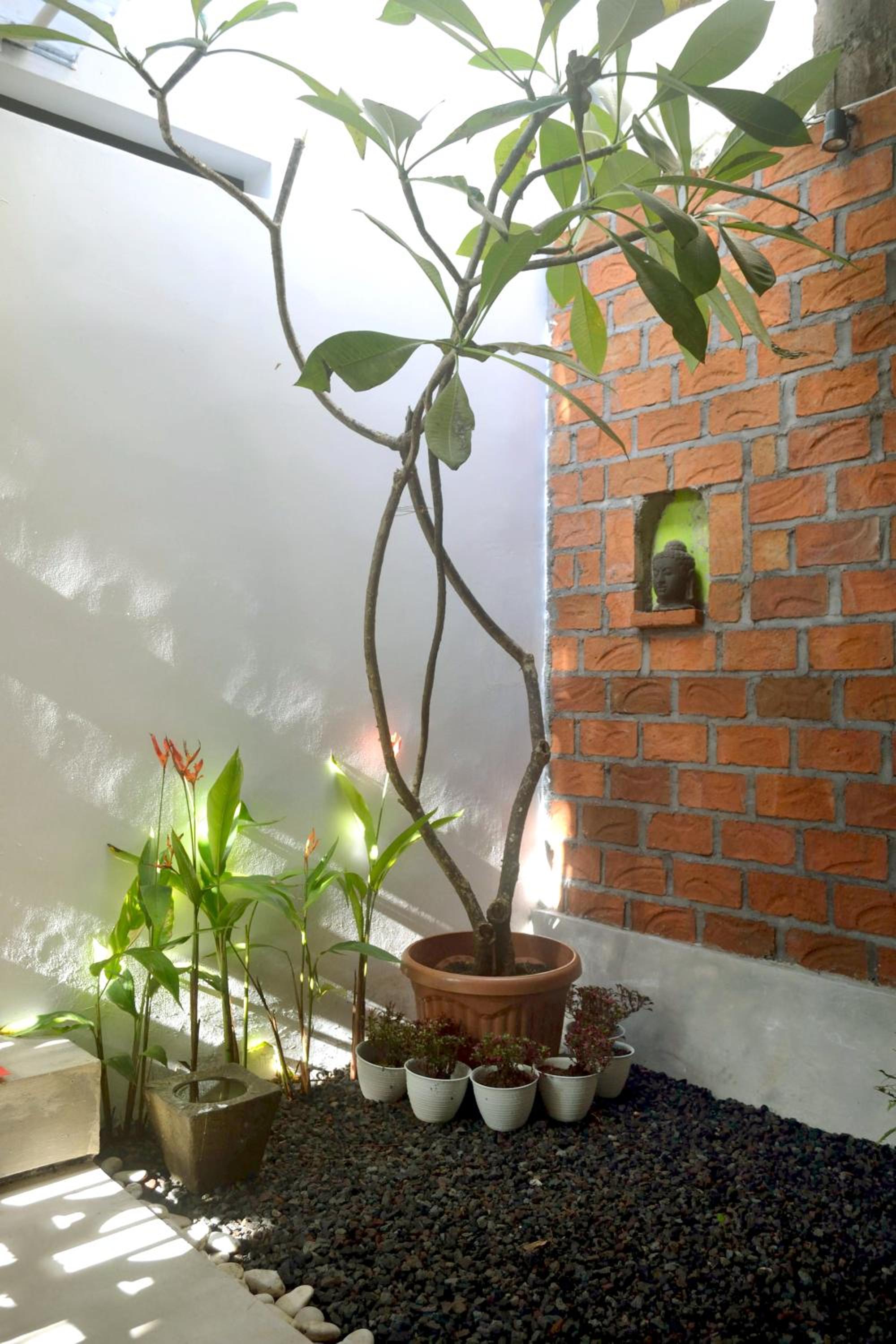 Cipta Guesthouse view 2