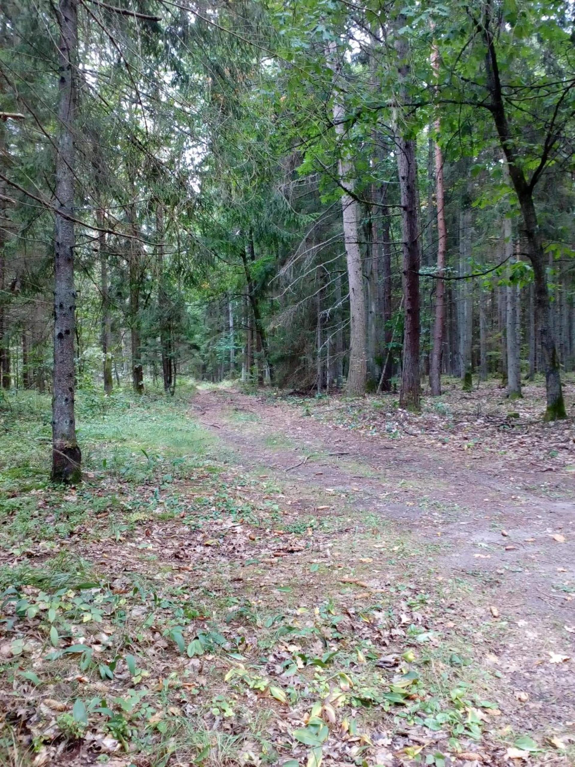 Photo 30