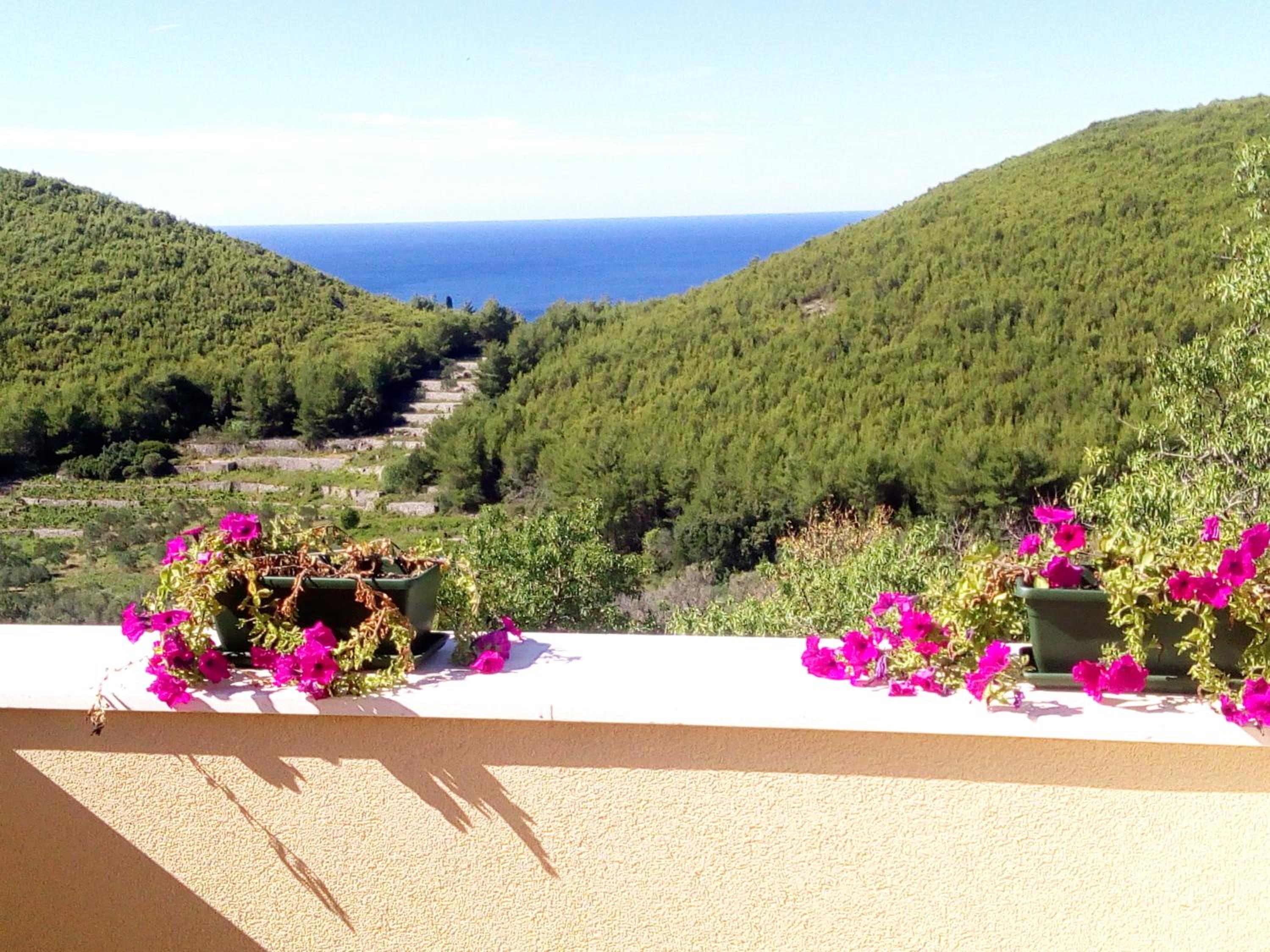 Holiday apartments Maslina Paho view 4