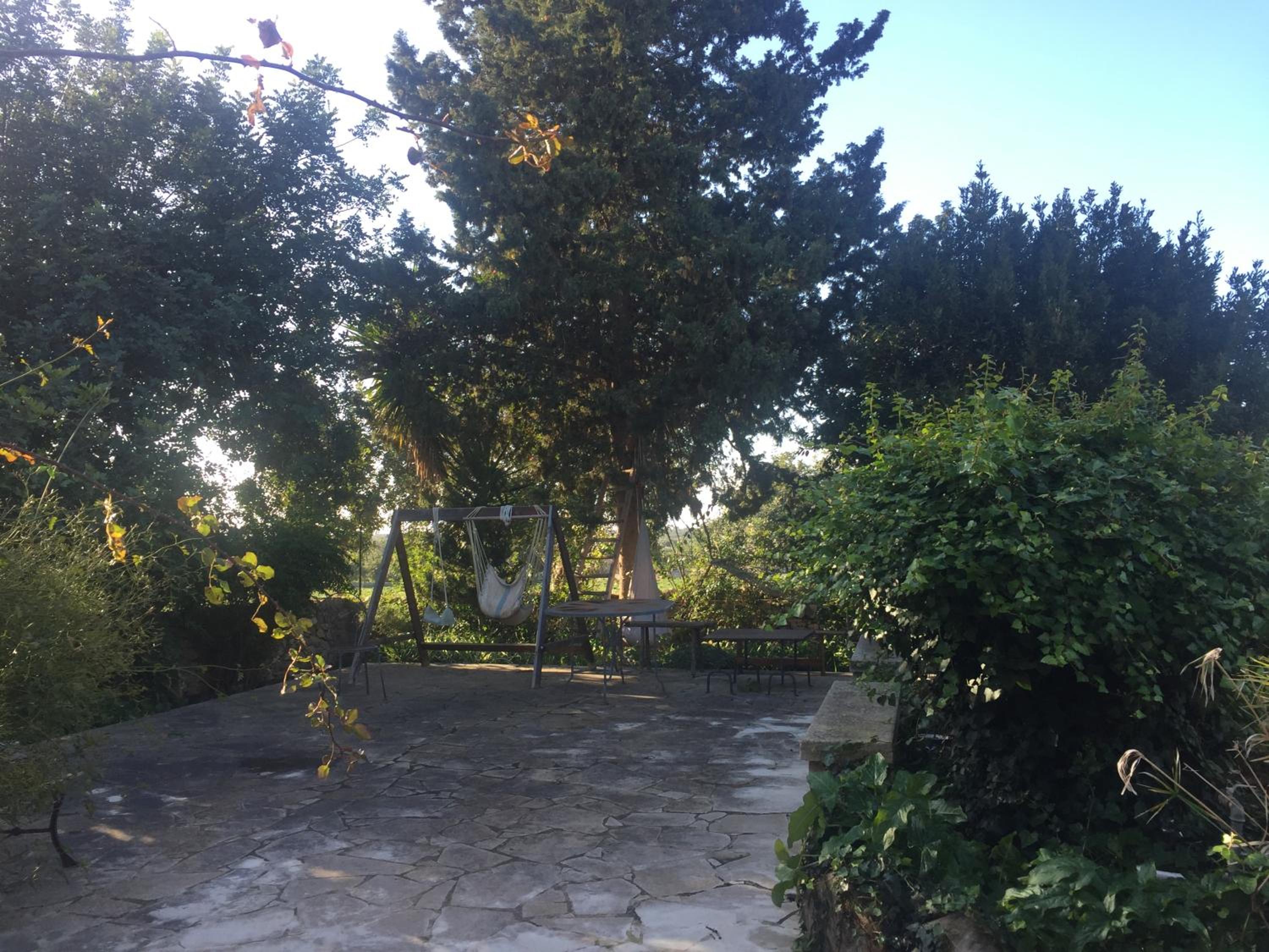 Photo 28