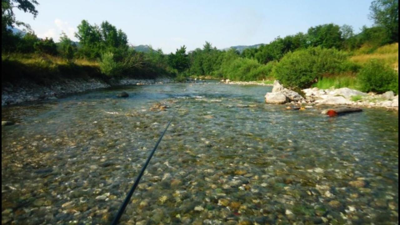 Photo 27