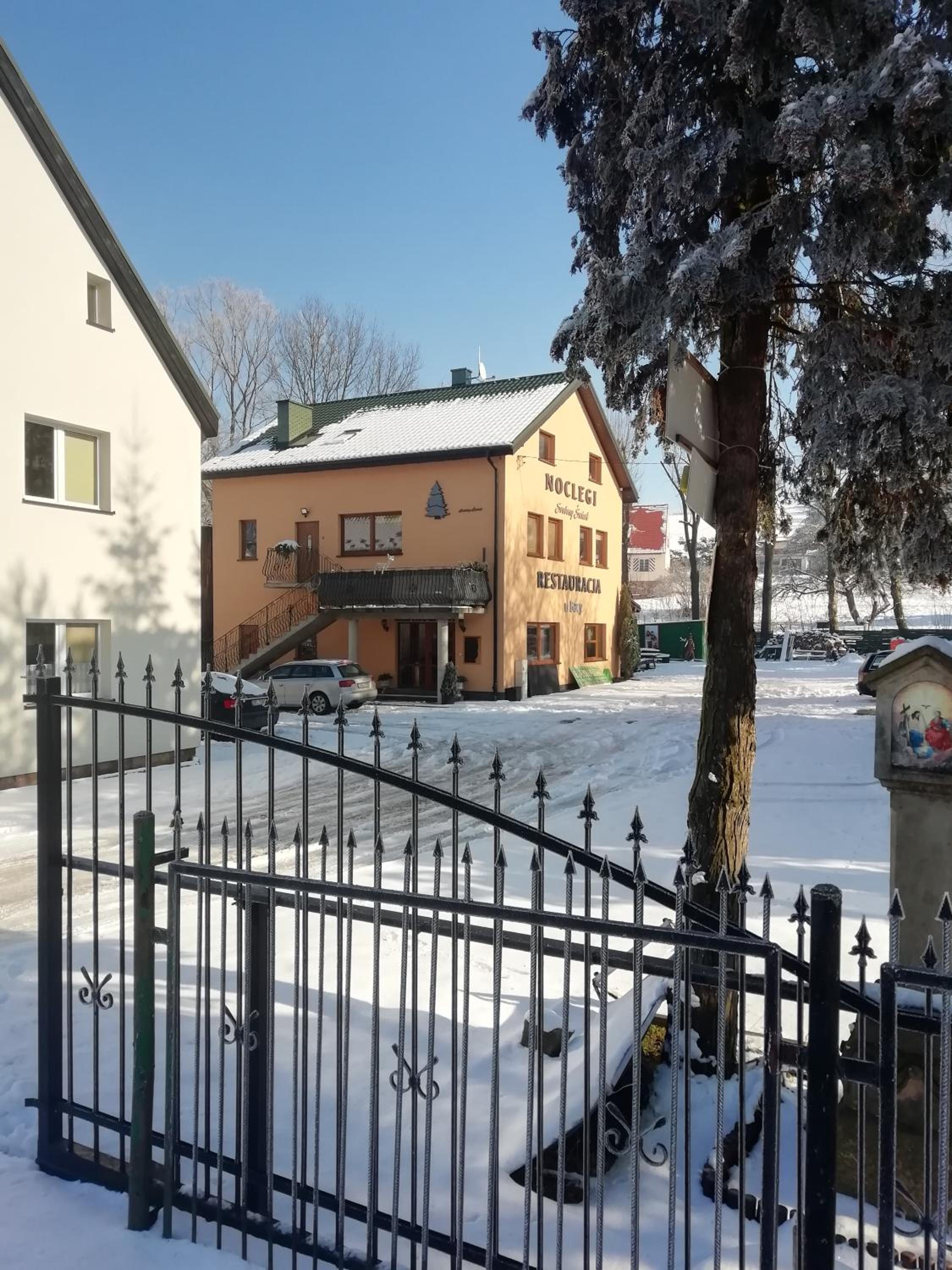 Srebrny Świerk