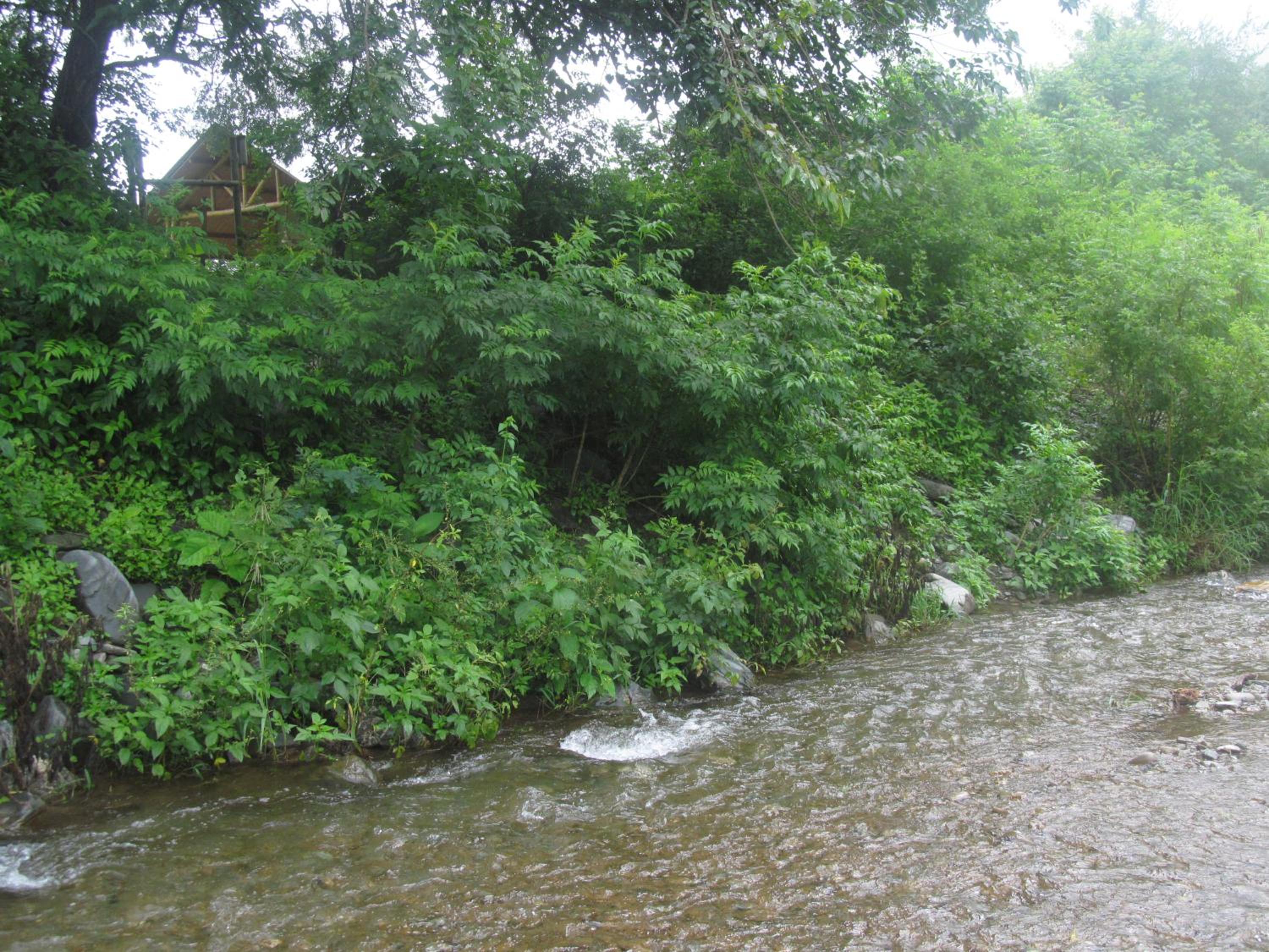 Casa de Bambu Salta
