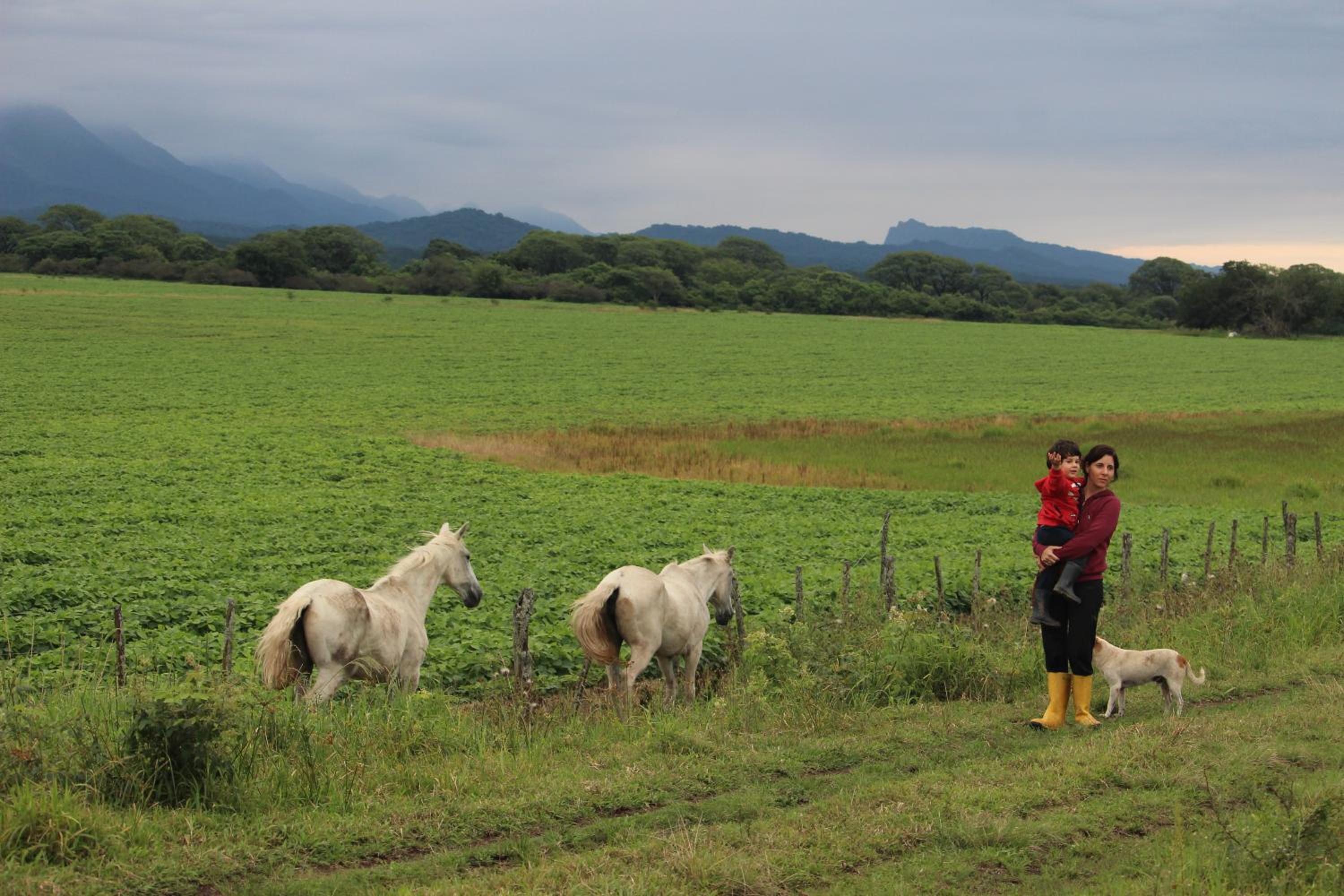 Casa de Bambu Salta