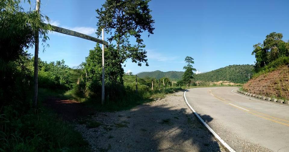 Busuanga Backpackers