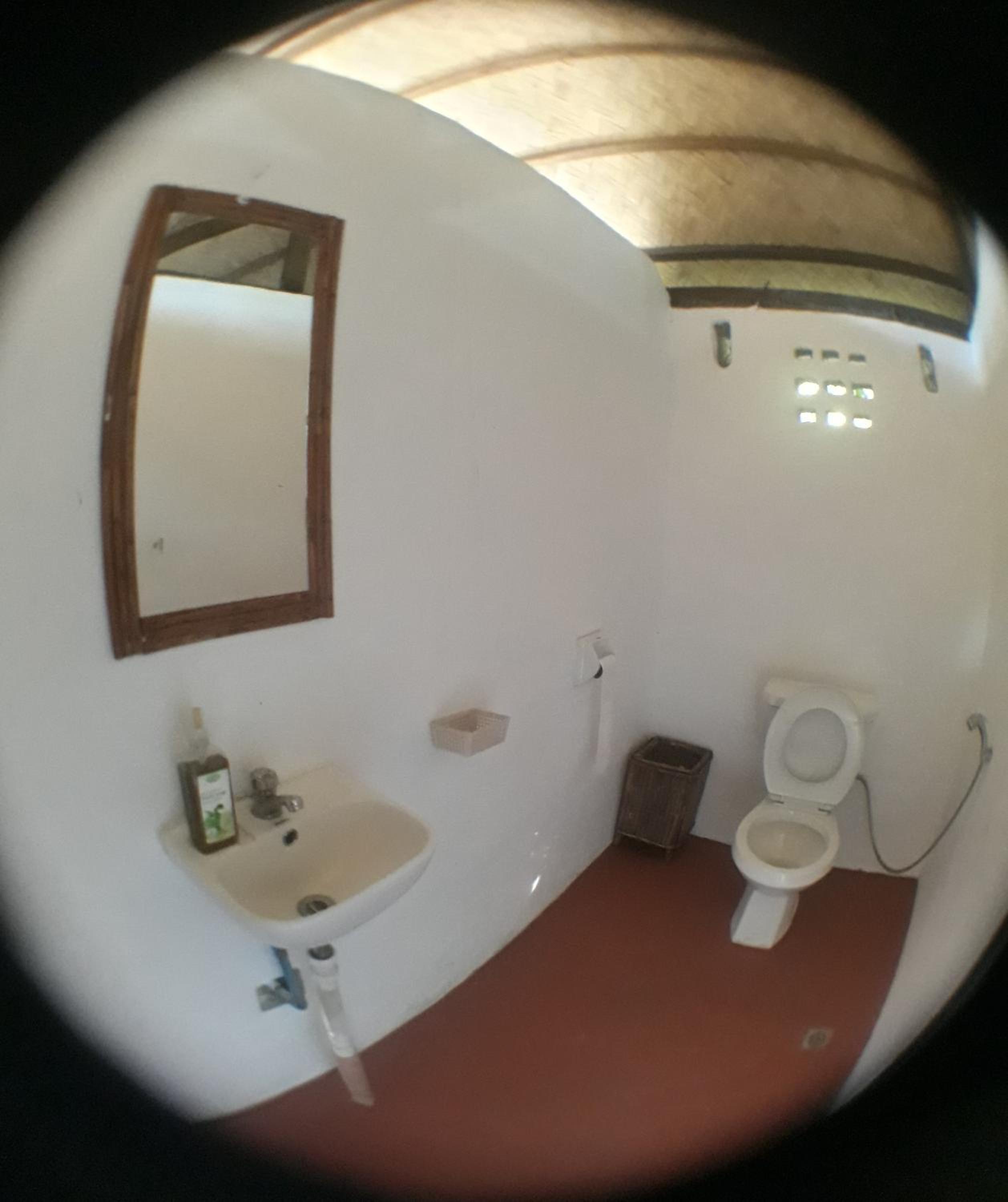Photo 41