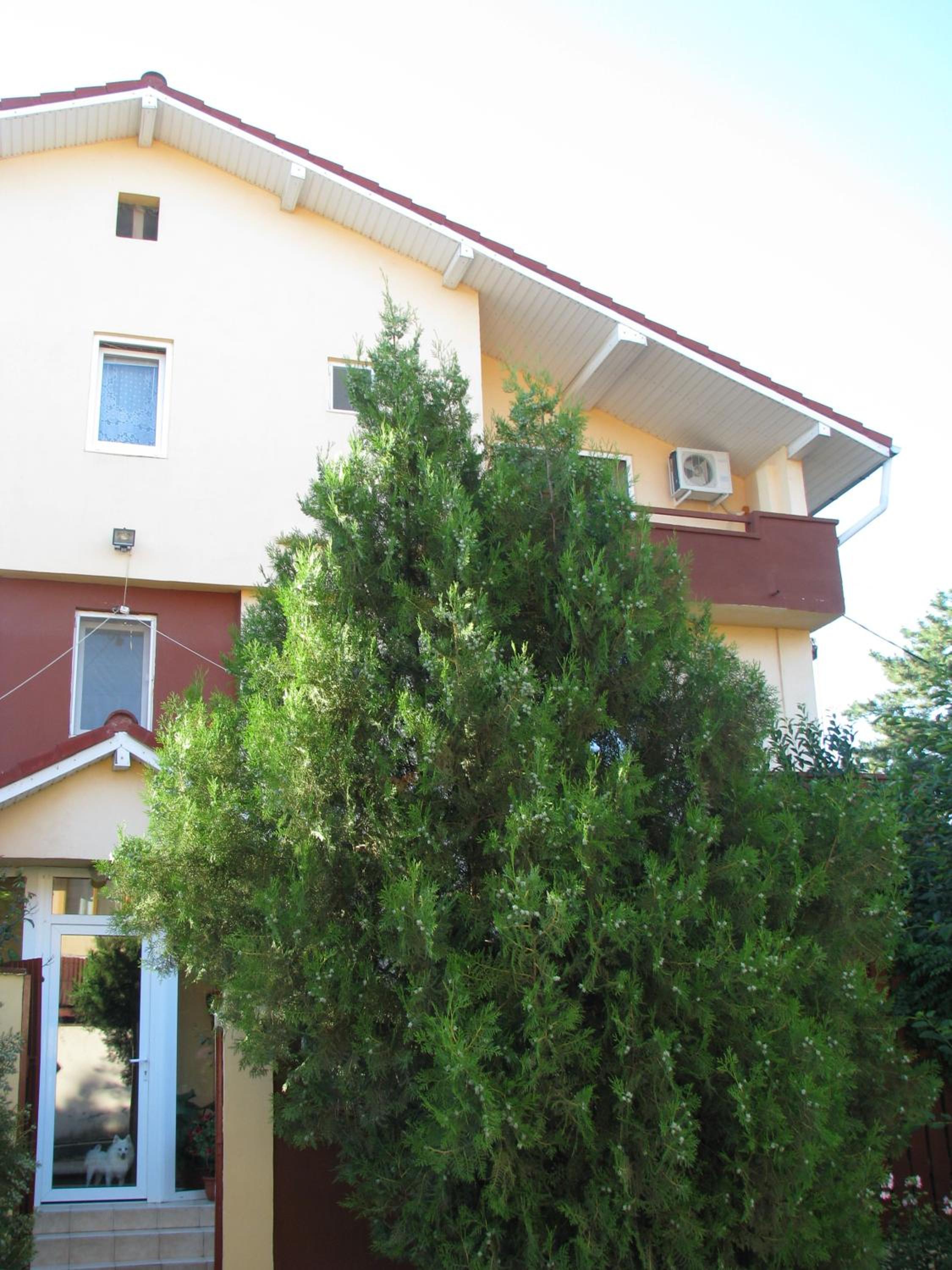 Photo 37