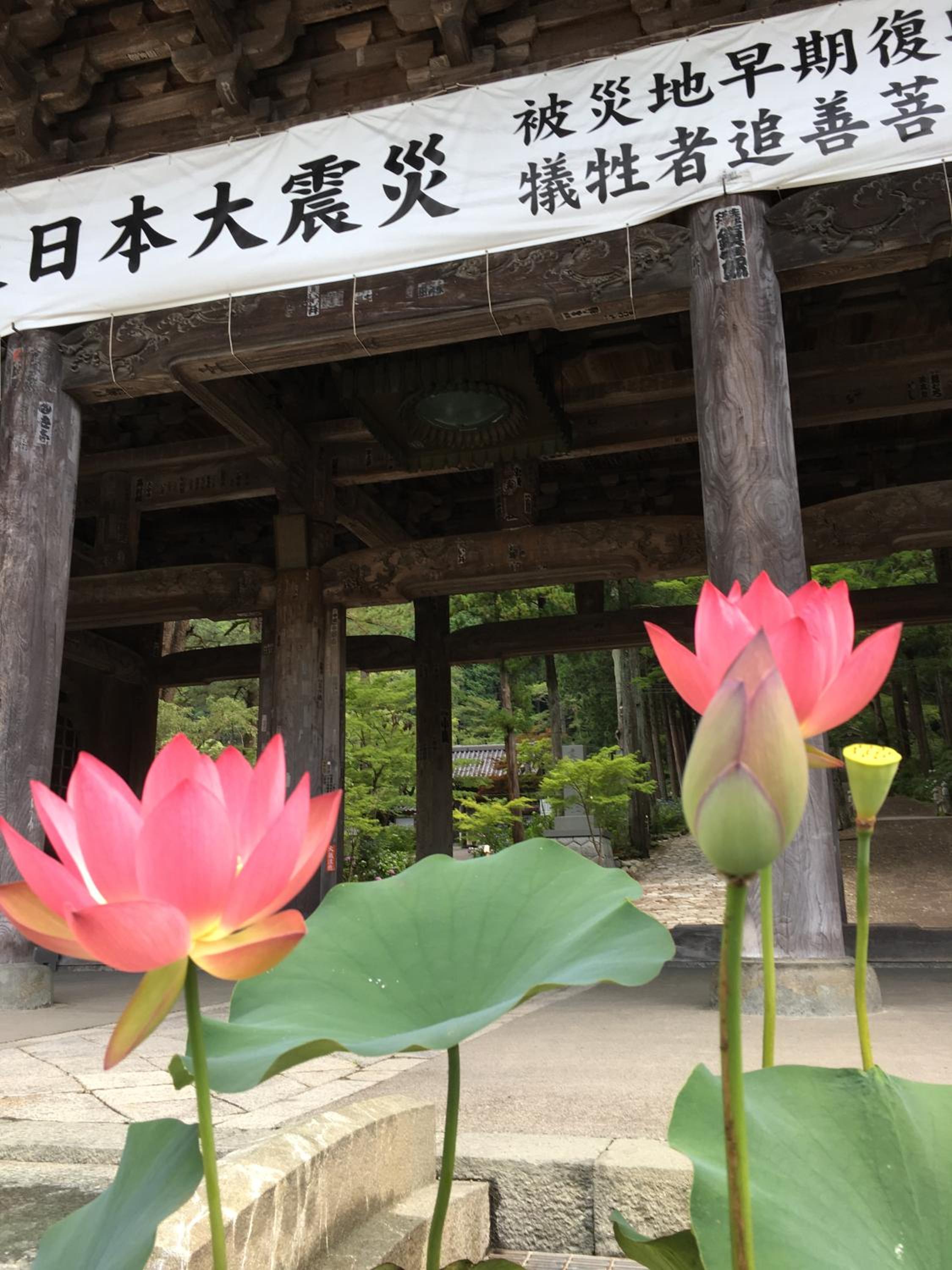 Ryokan TANAKAYA