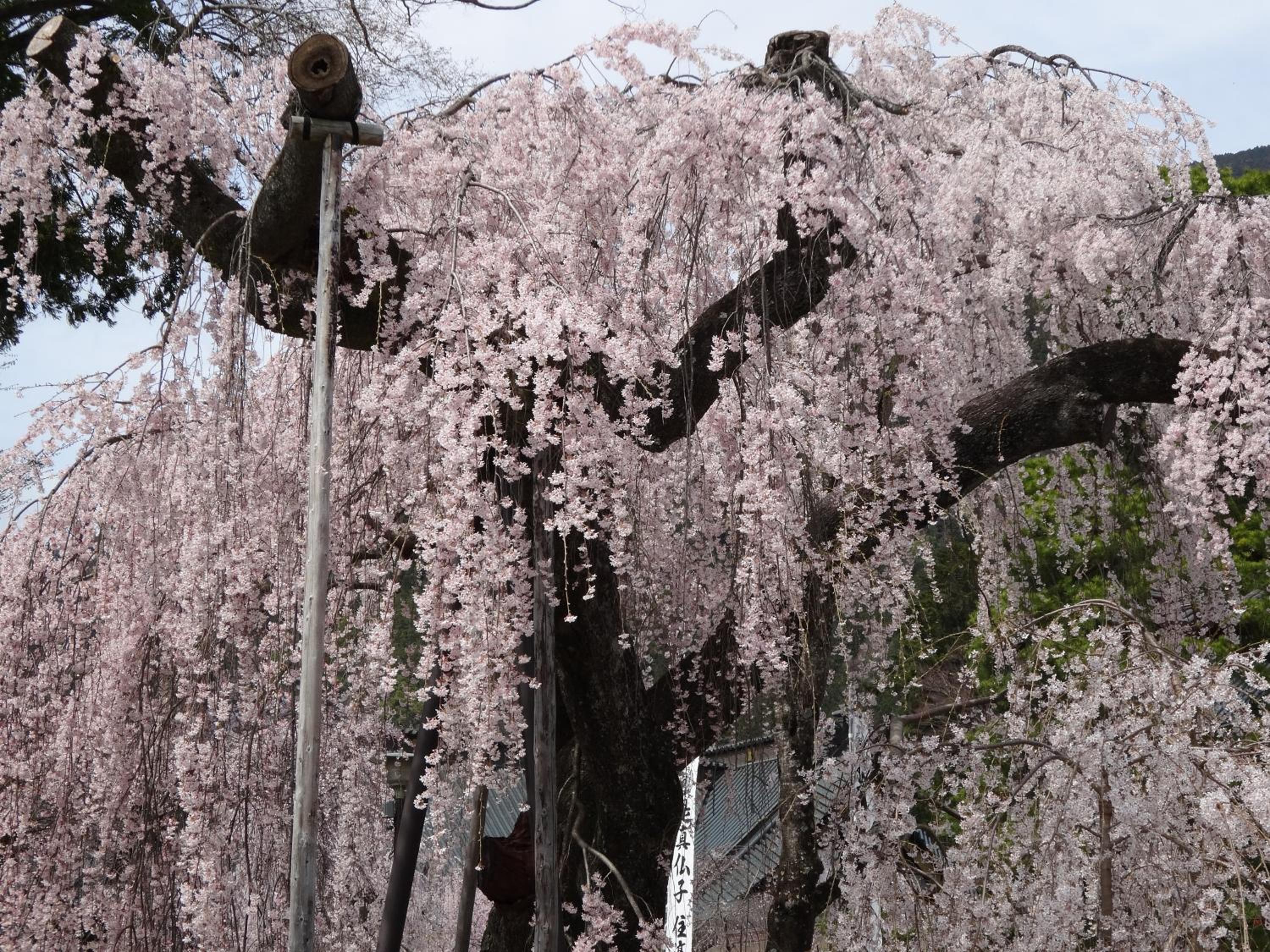 Ryokan TANAKAYA