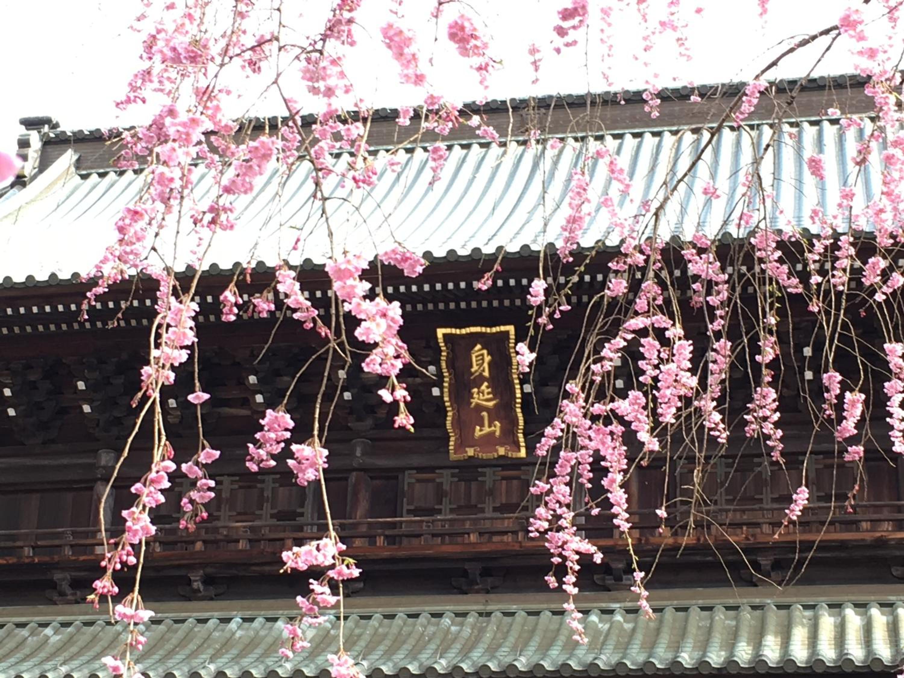 Ryokan TANAKAYA