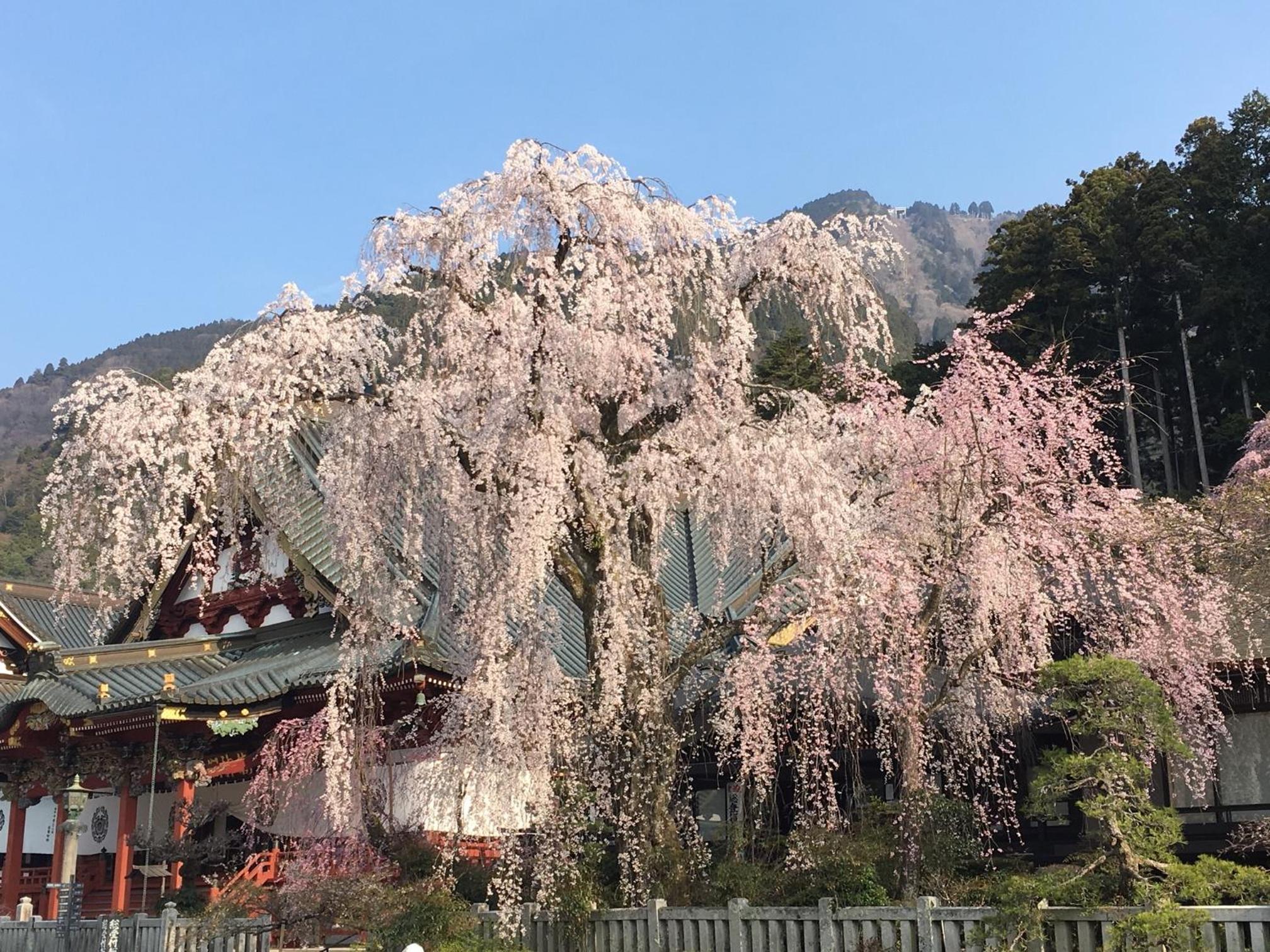 Ryokan TANAKAYA