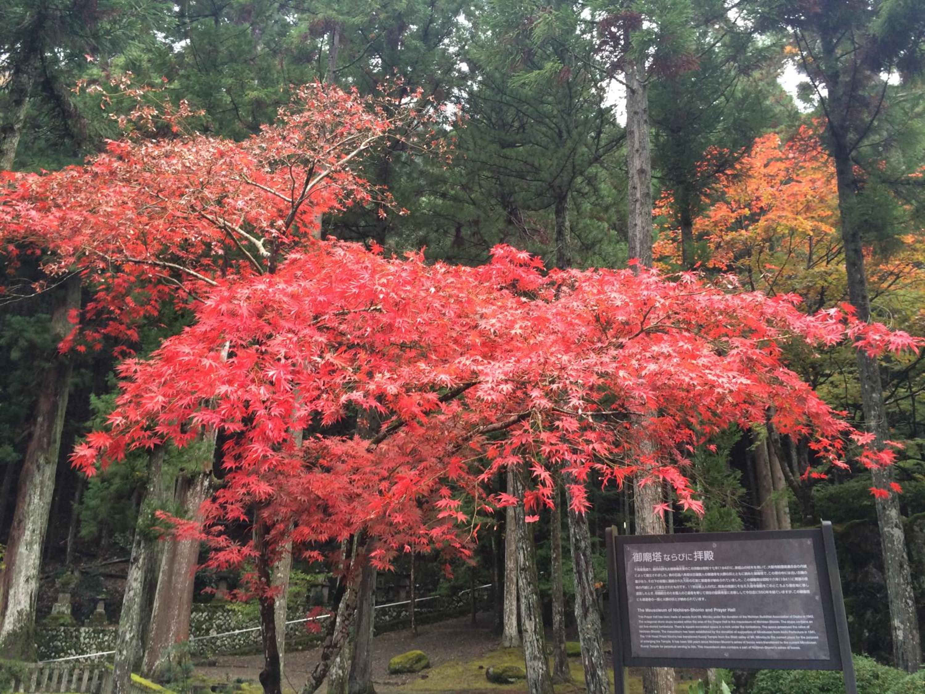 Ryokan TANAKAYA