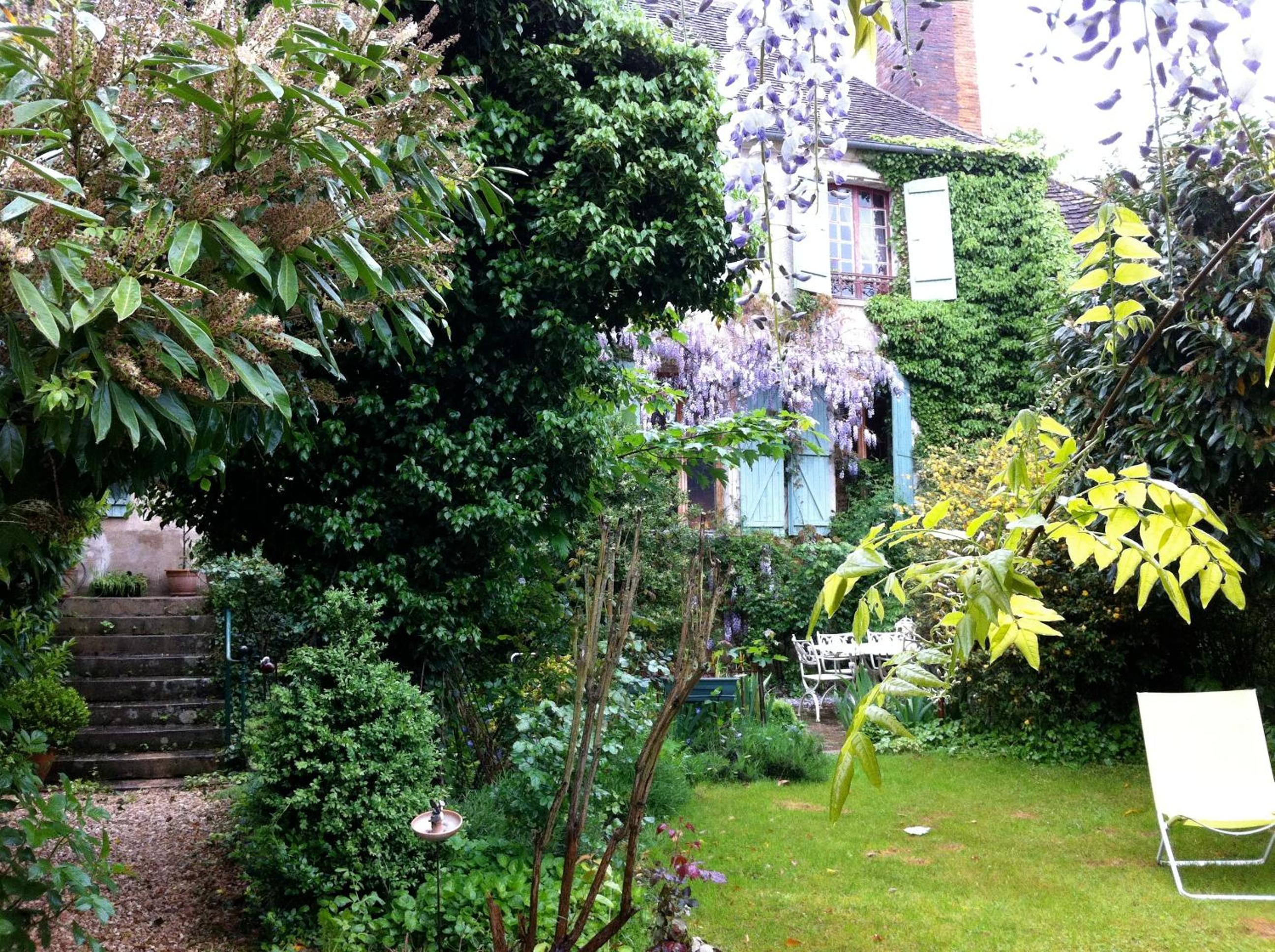 Photo 11
