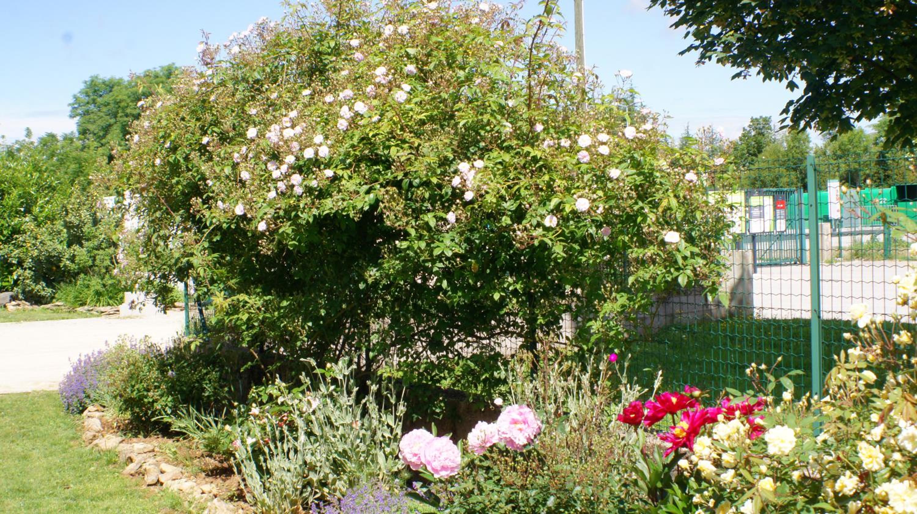 Photo 6