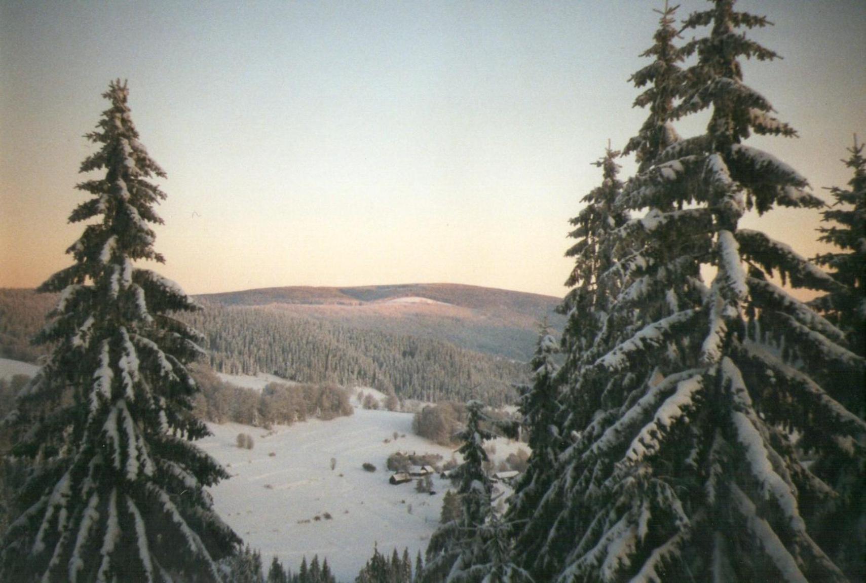 Pokoje Agroturystyka Koczy Zamek view 3