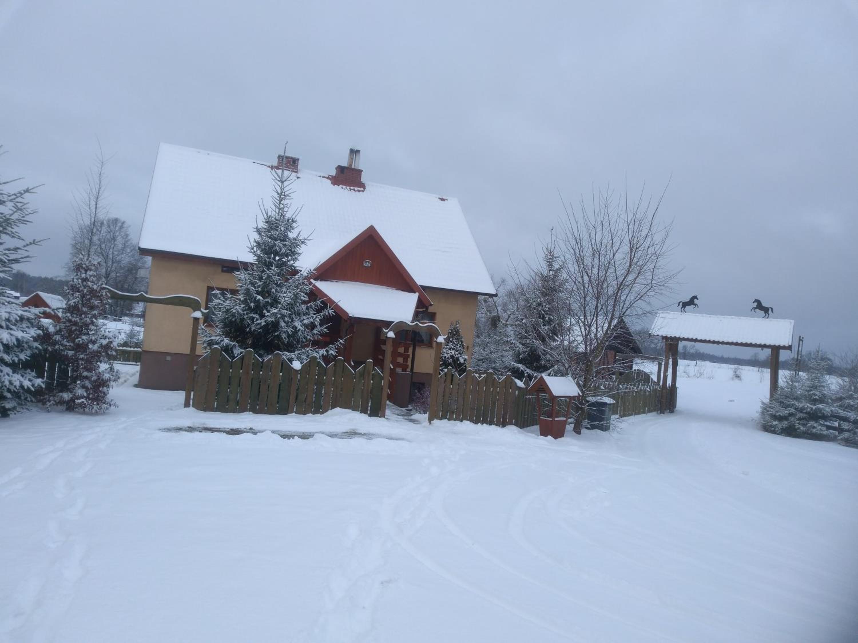Photo 48
