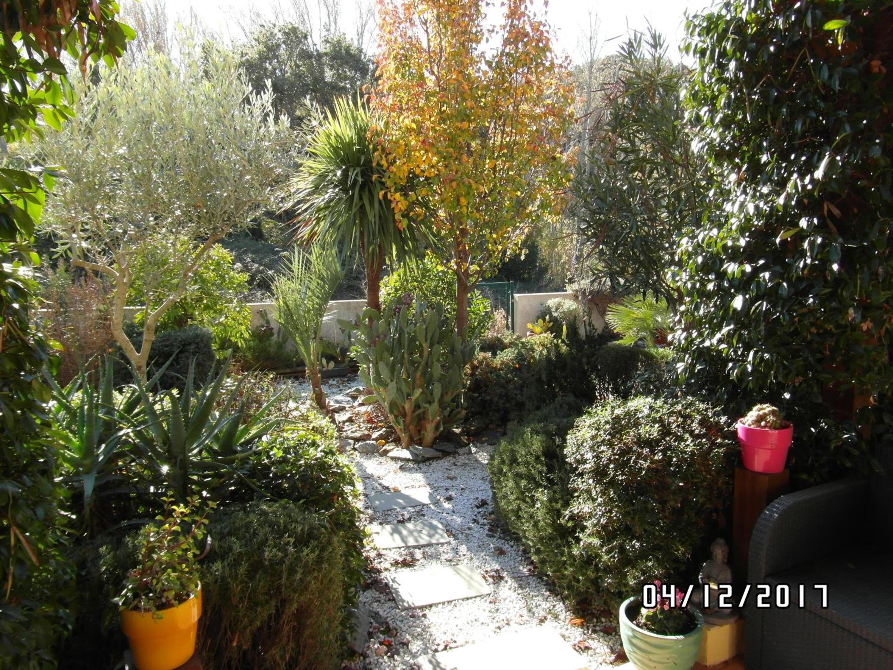 Photo 14